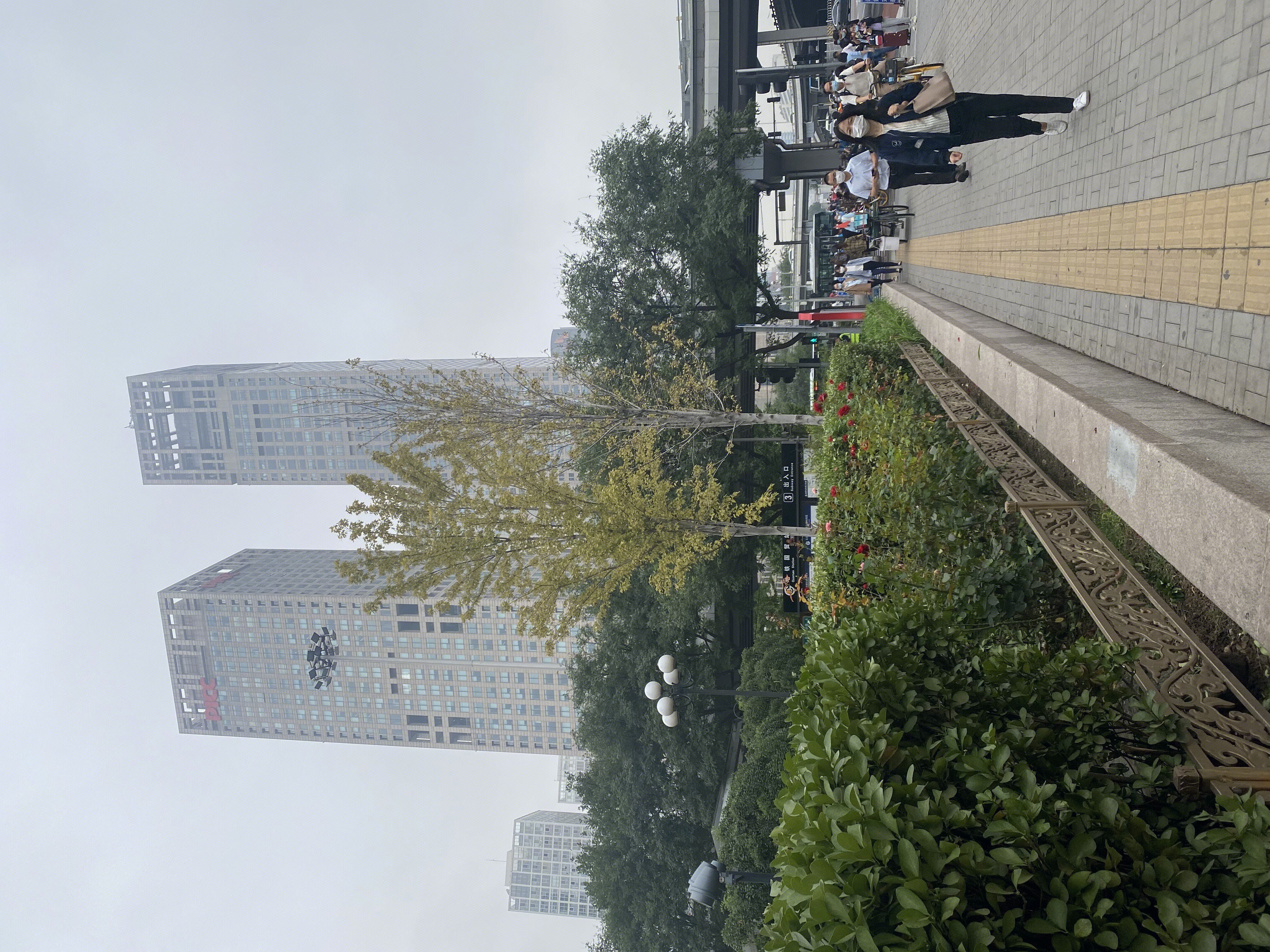 PICC中国人保 CBD 国贸