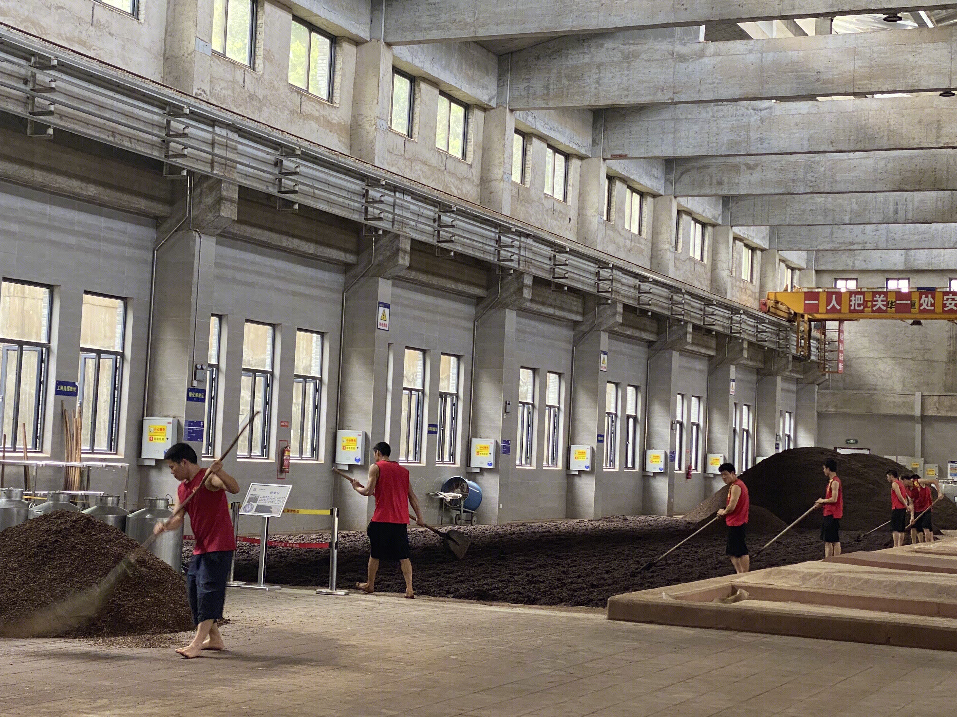 白酒 车间 拌料 制曲