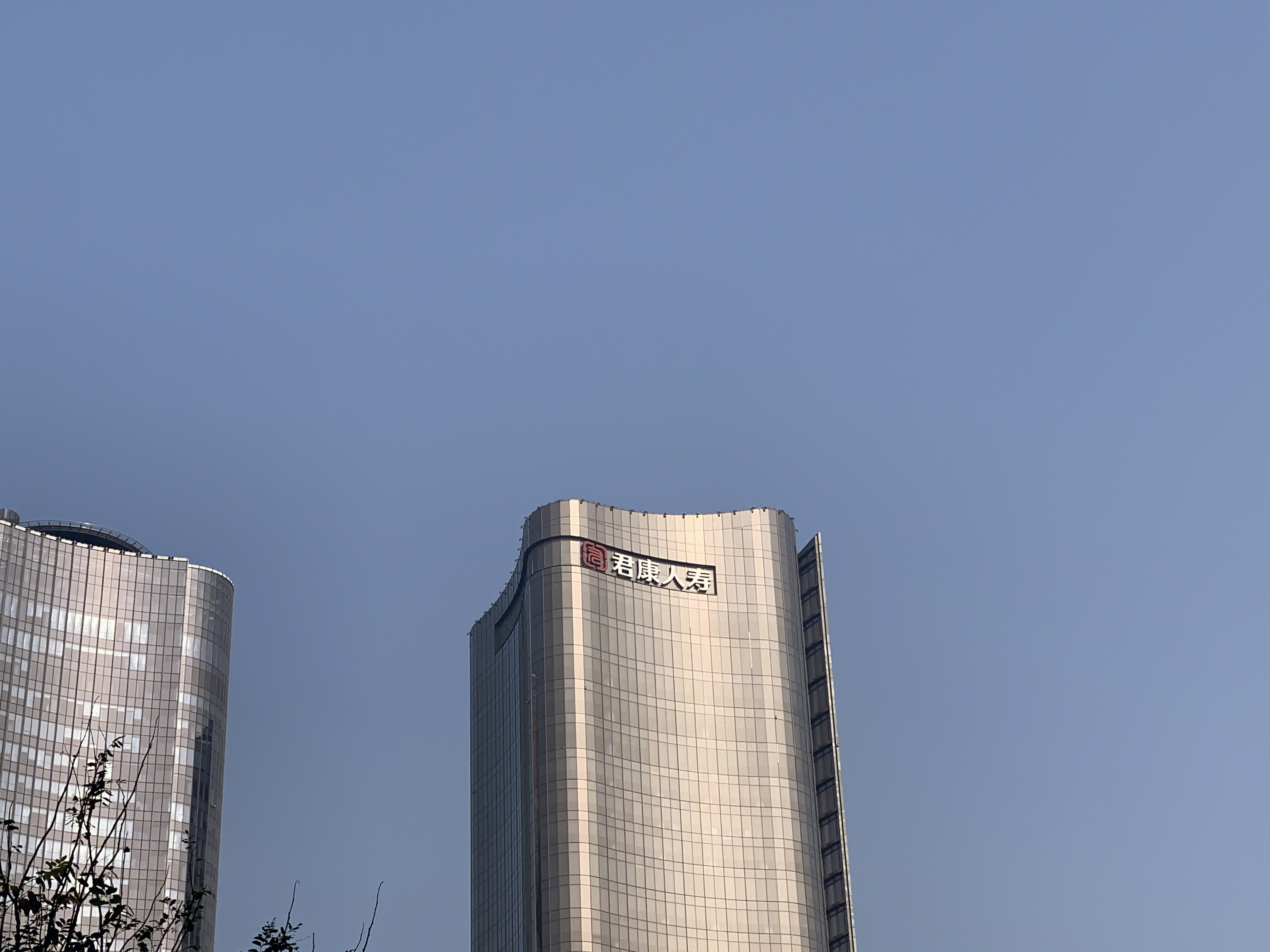 君康人寿 保险 寿险