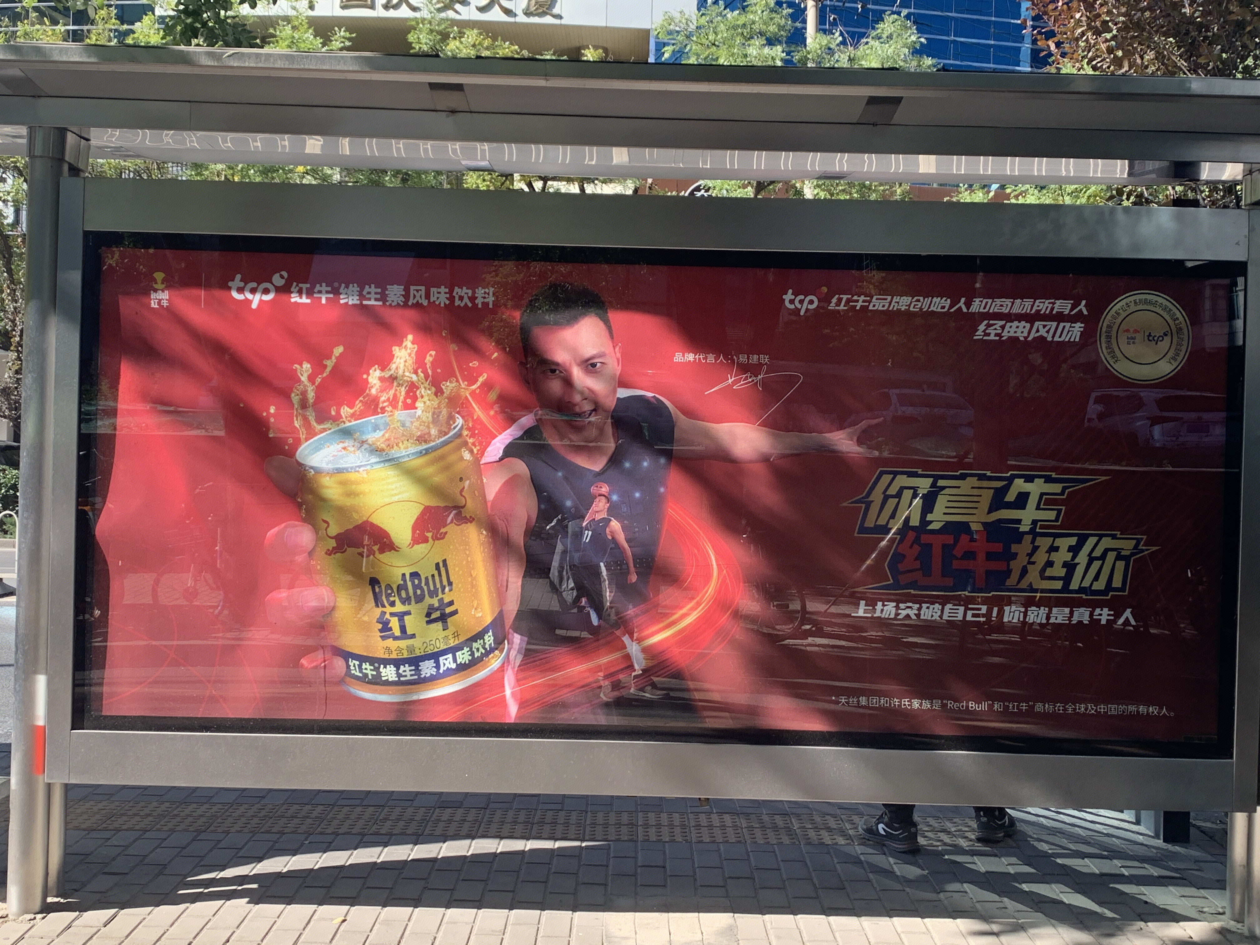 红牛 功能饮料 REDBULL