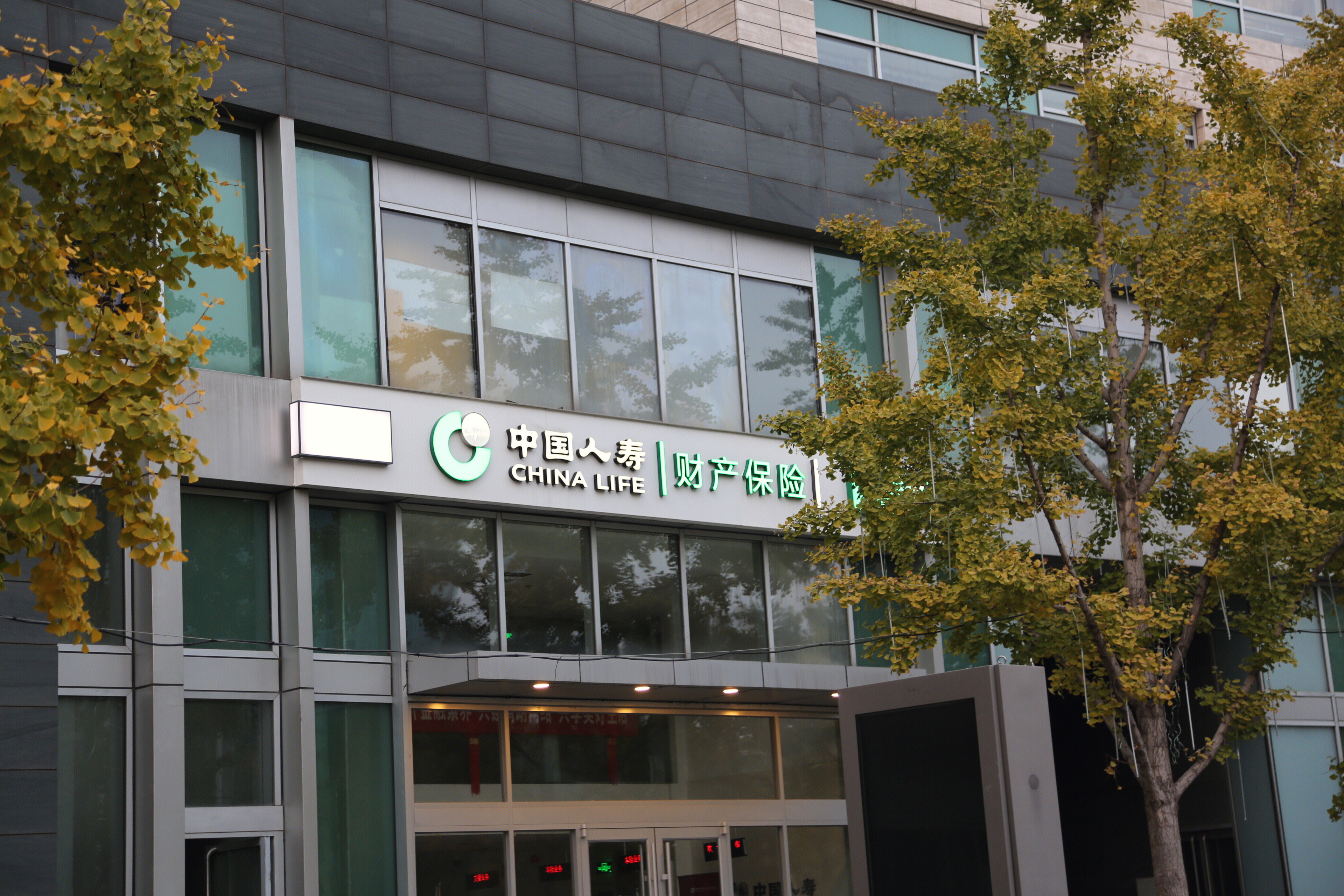 中国人寿 财产保险