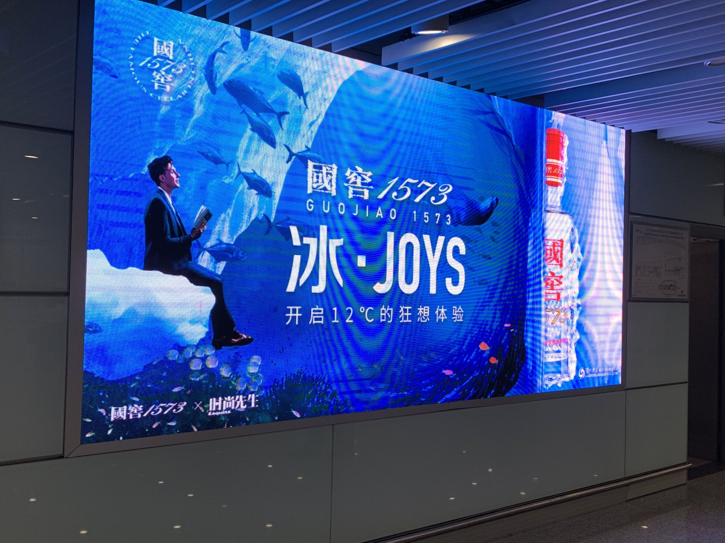 国窖1573 泸州老窖