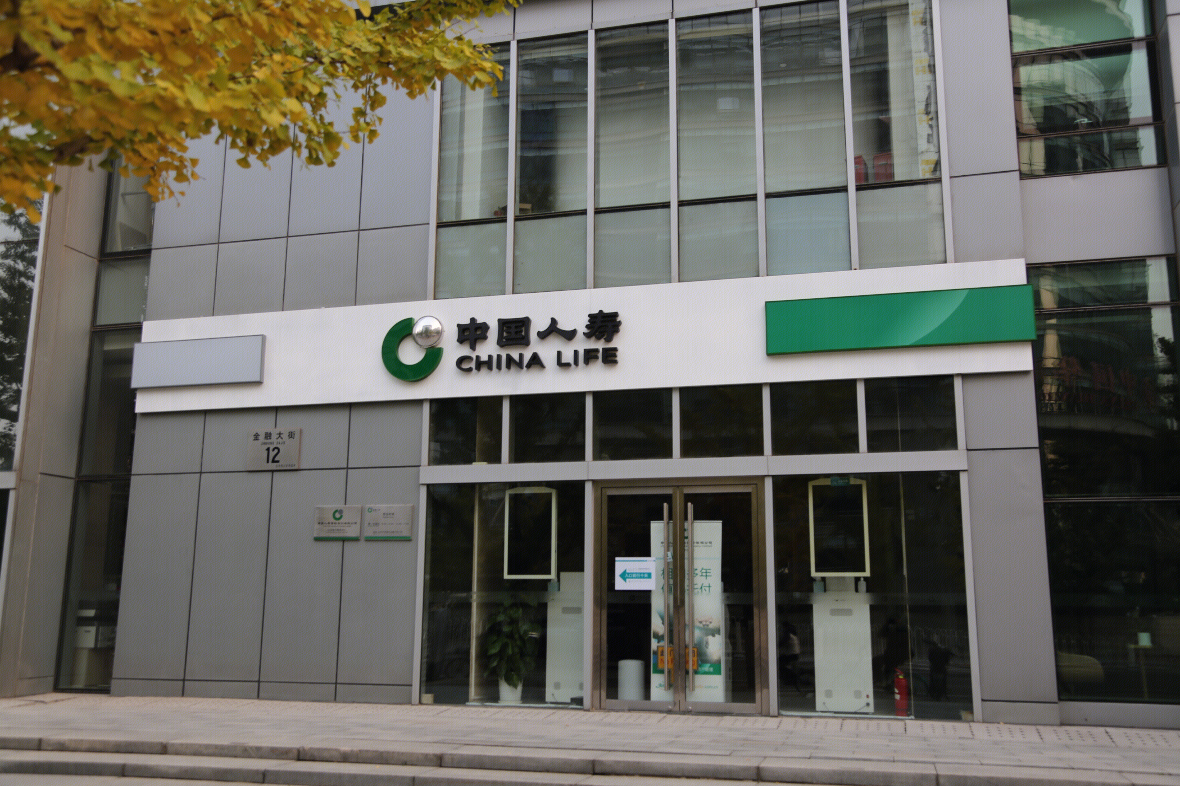 中国人寿 china life