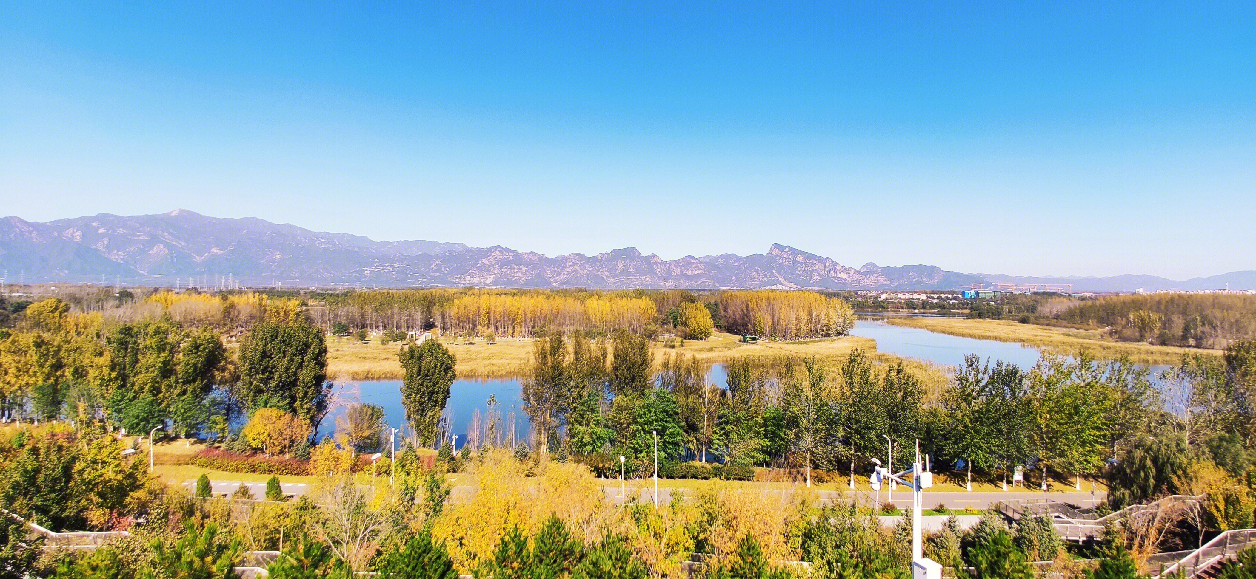 世园公园 秋景 树木 秋色
