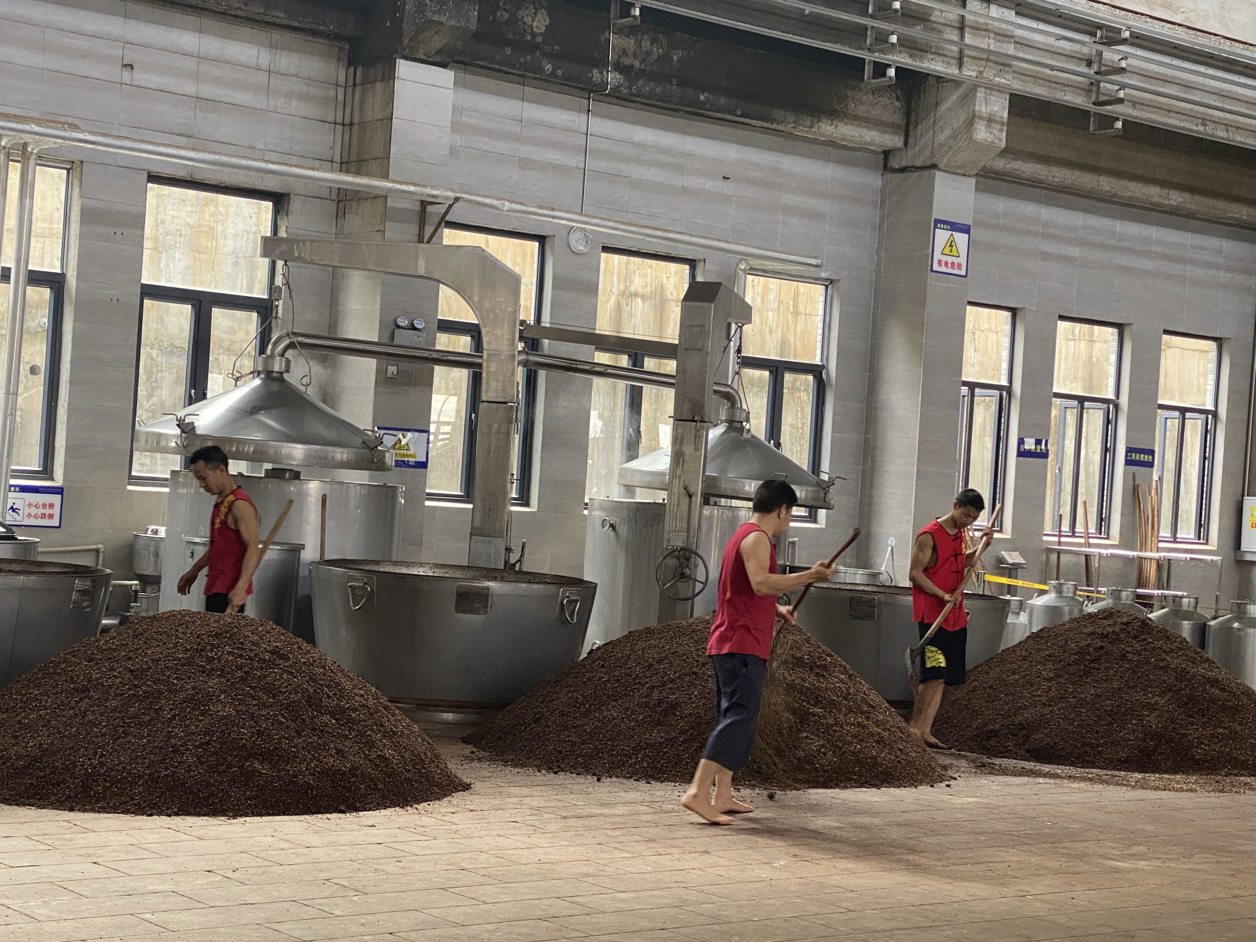 白酒 车间 拌料 制曲