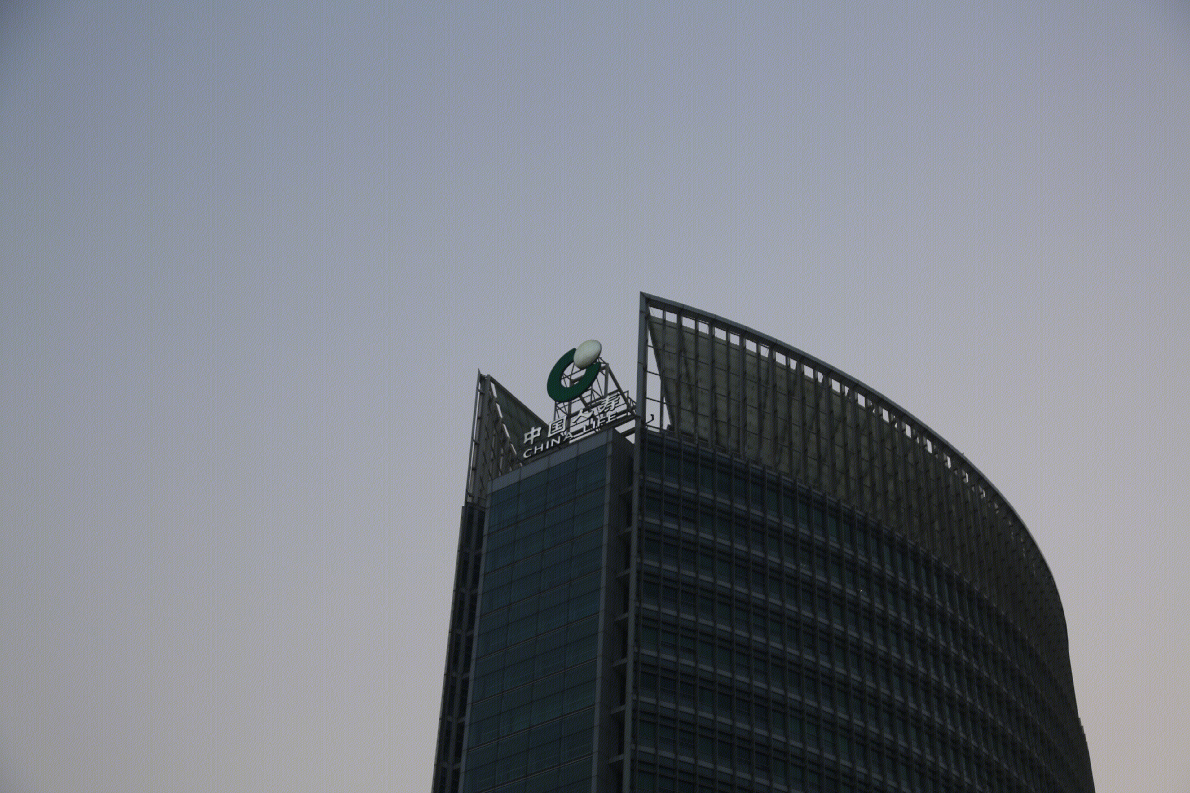 中国人寿 china life