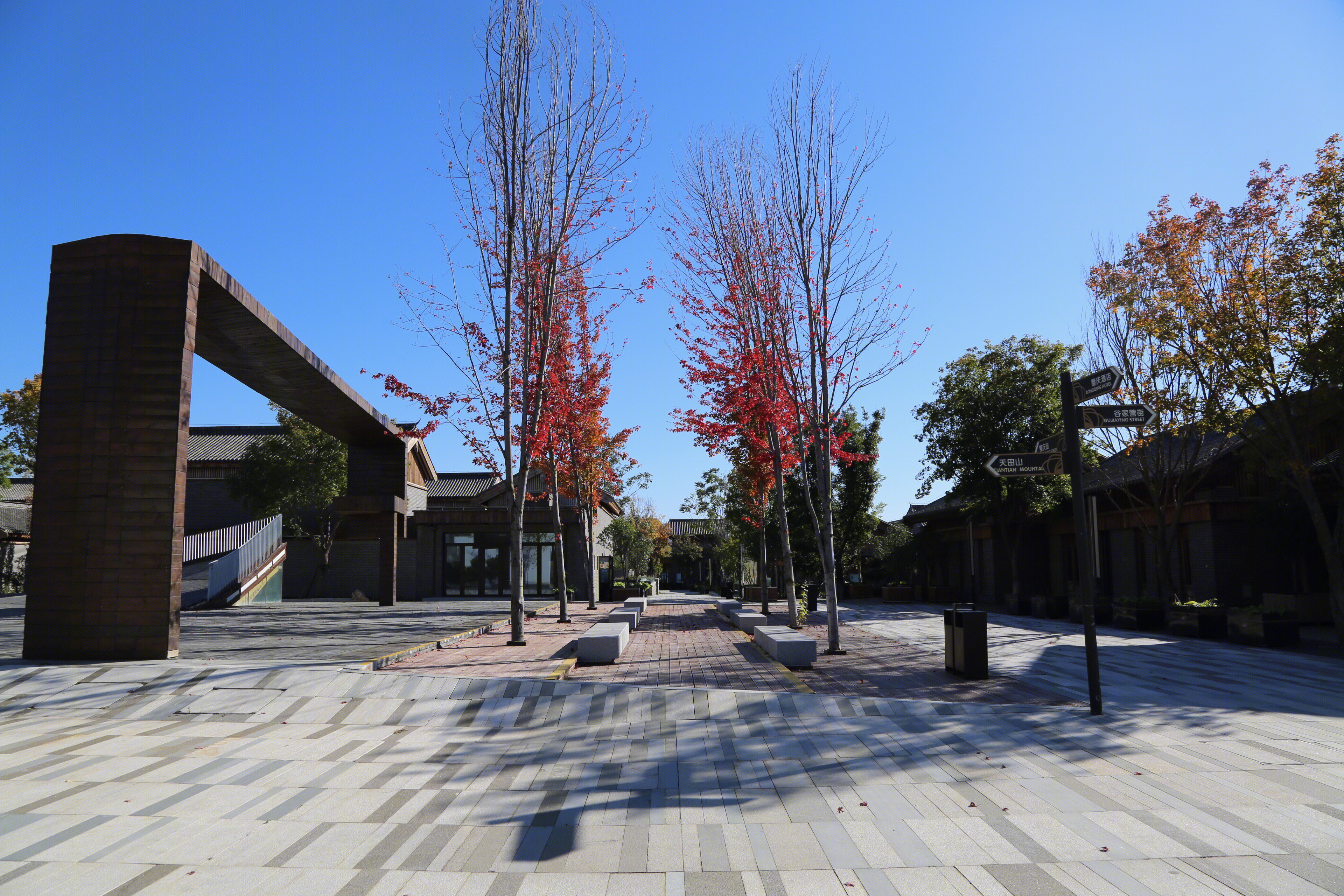 世园 秋景 树 红叶