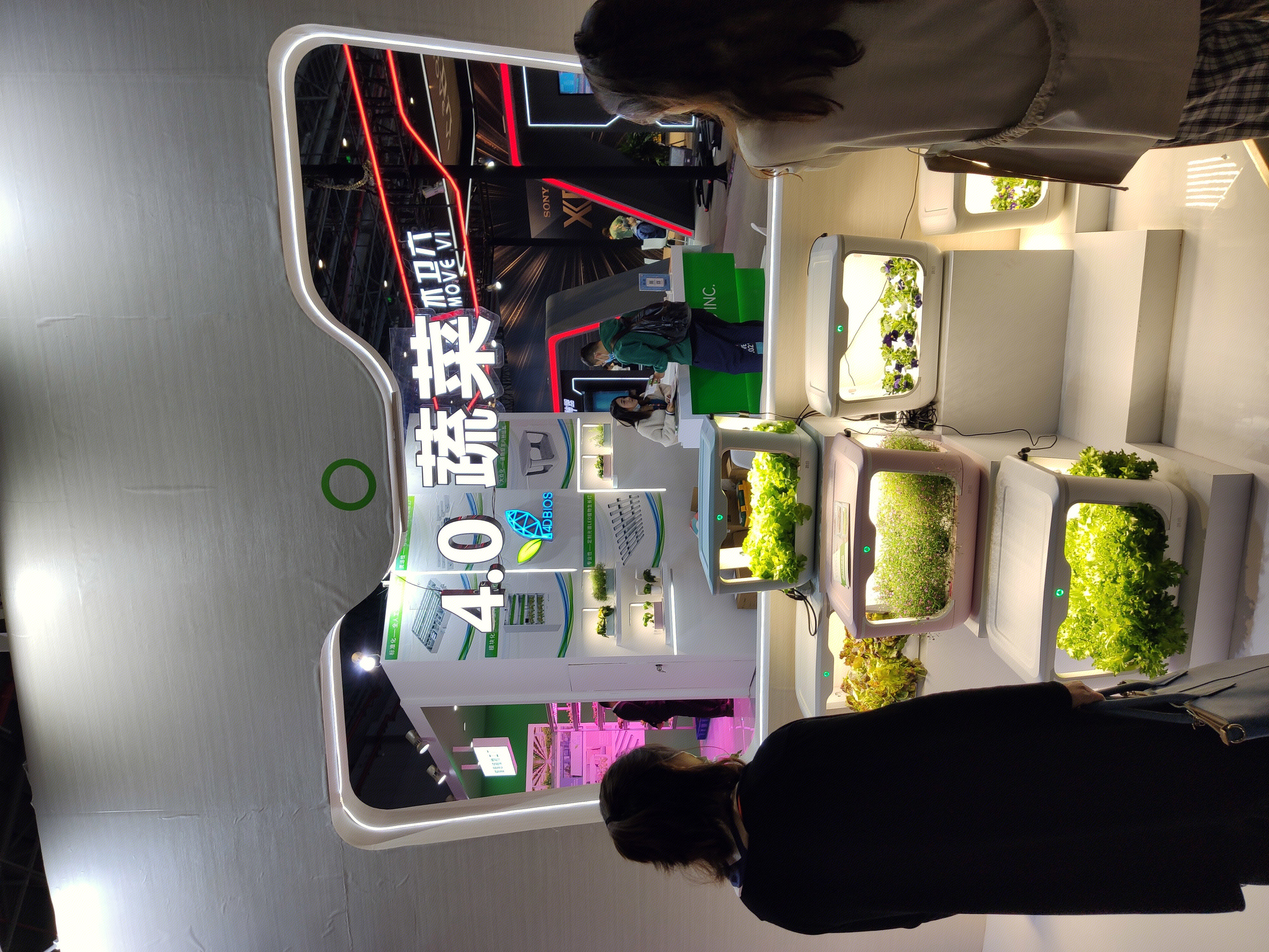 智慧植物工厂 盆栽 绿植