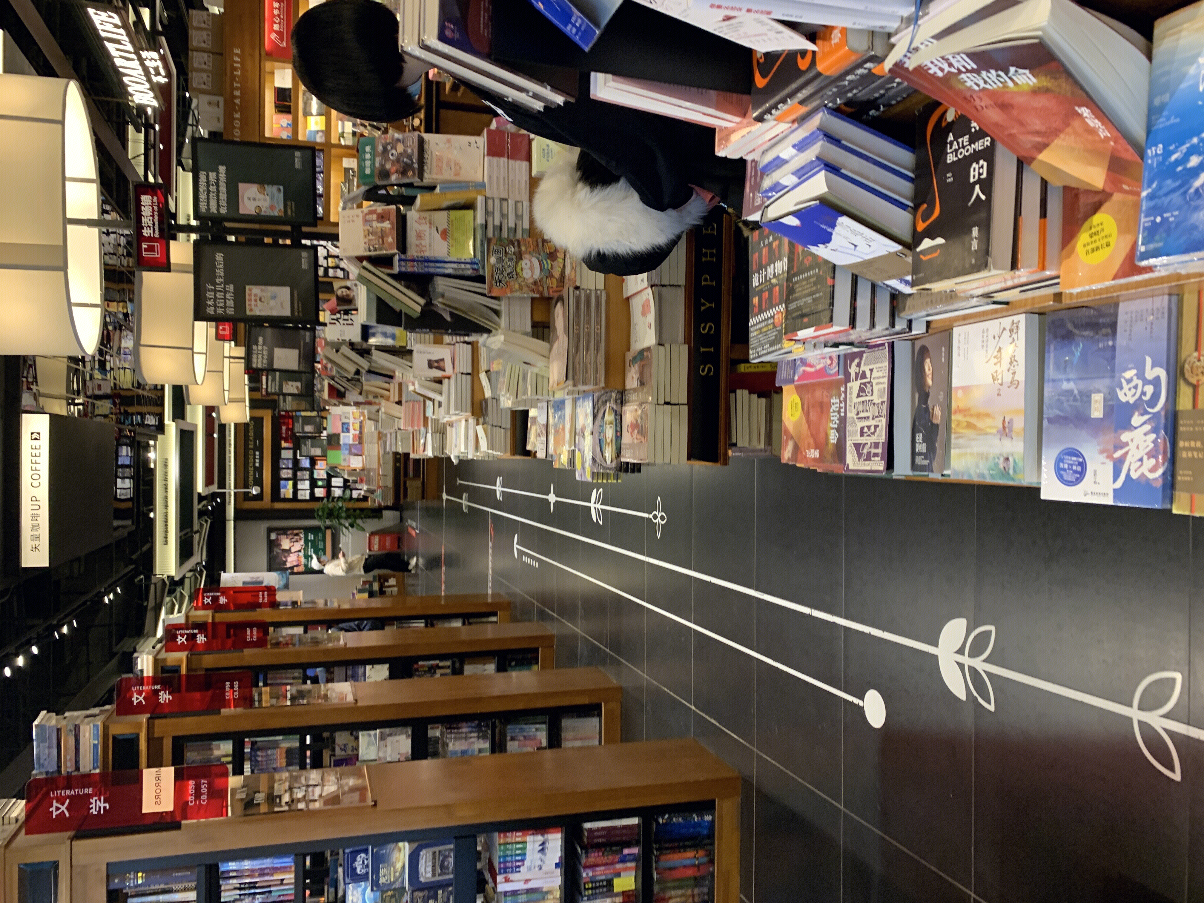 西西弗书店 SISYPHE