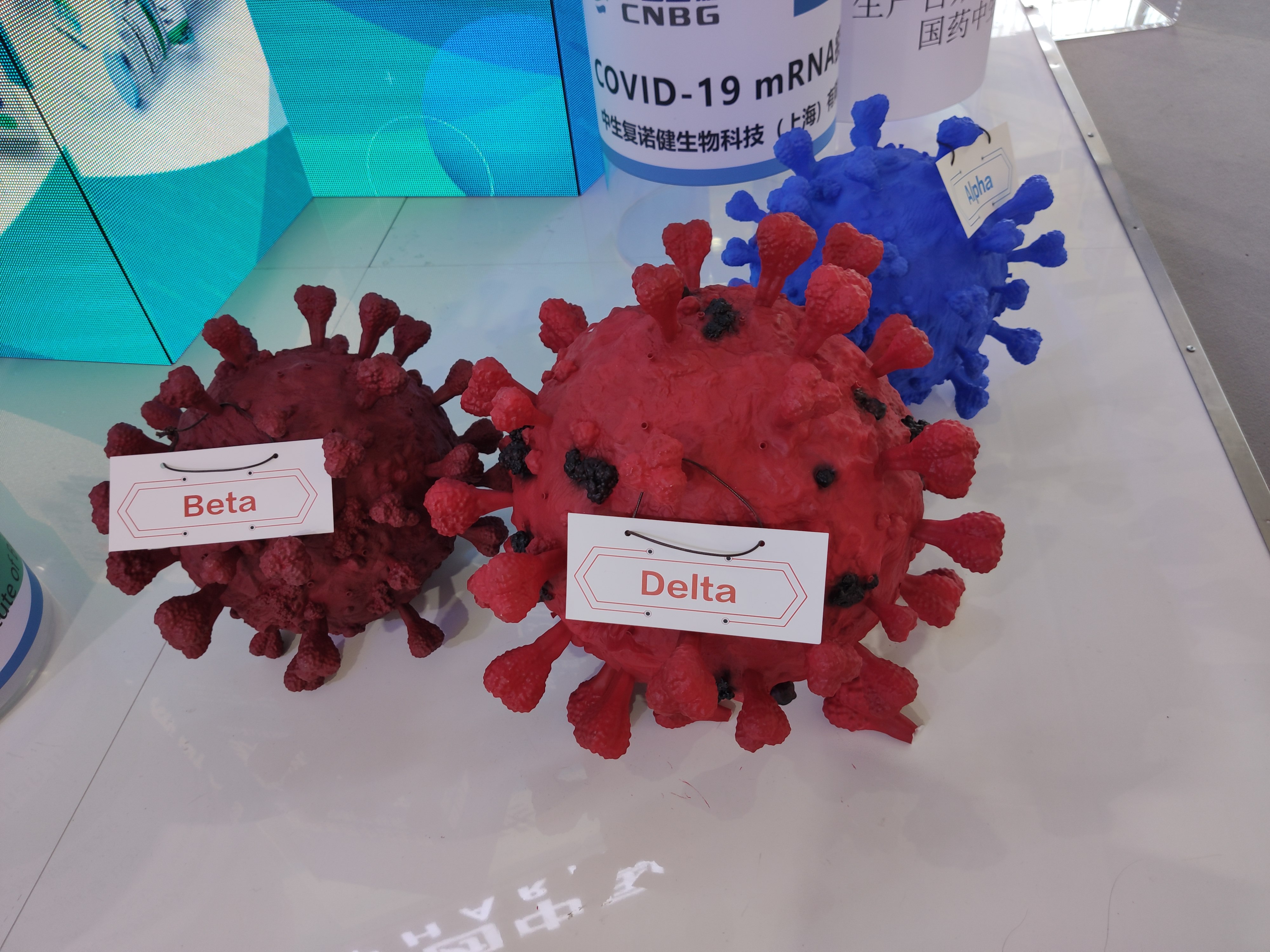 新冠病毒 covid 19