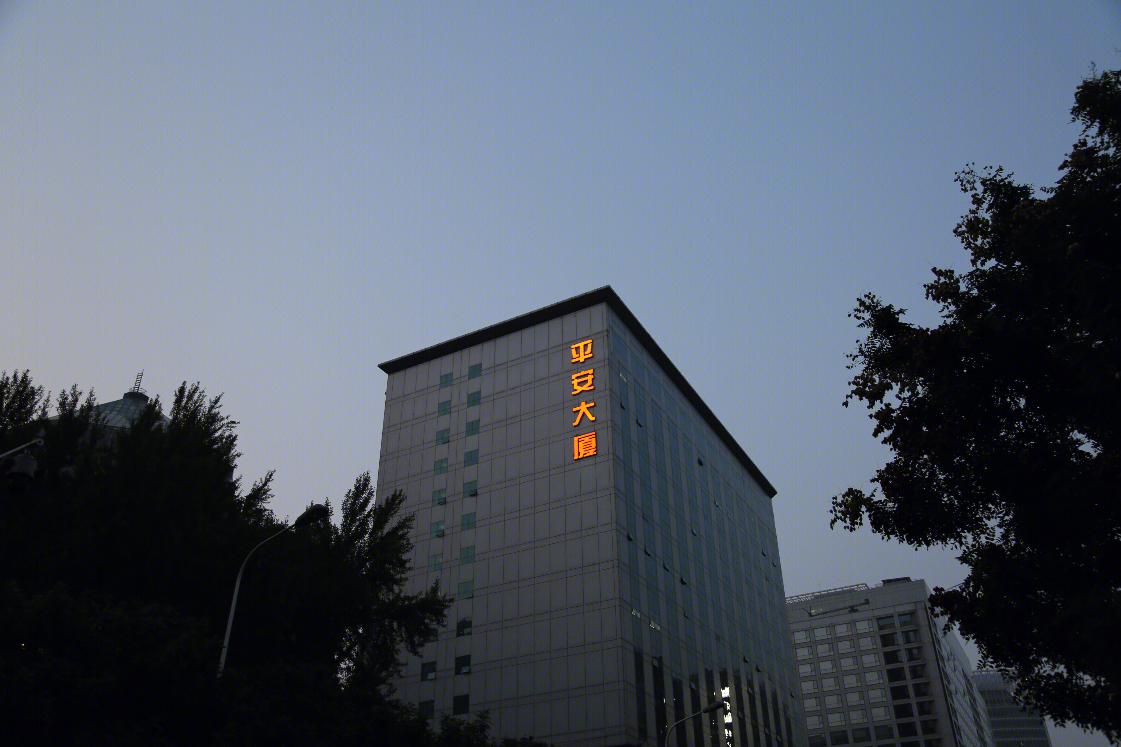 平安集团 其他