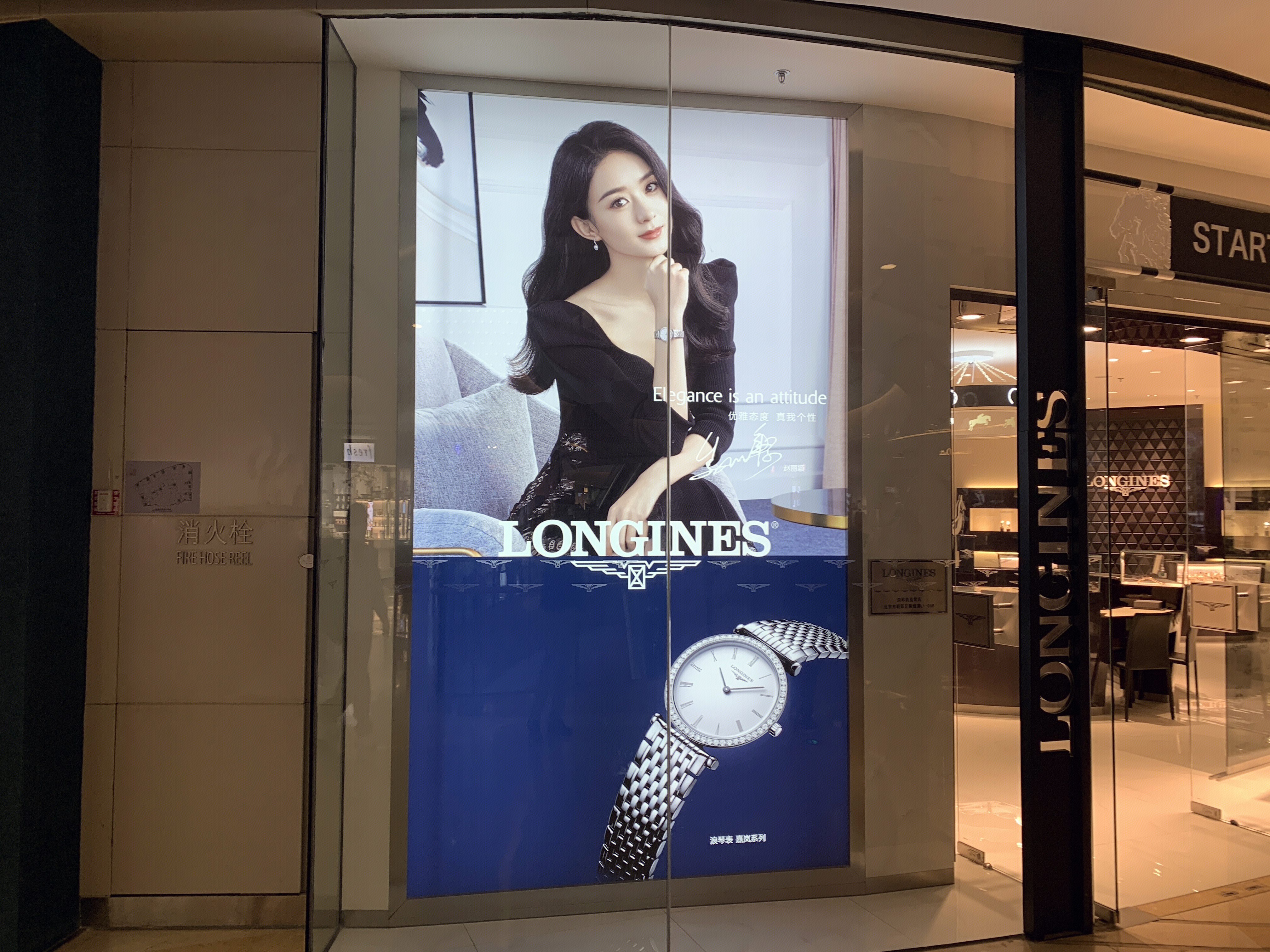 浪琴 LONGINES 手表 腕表 钟表 赵丽颖