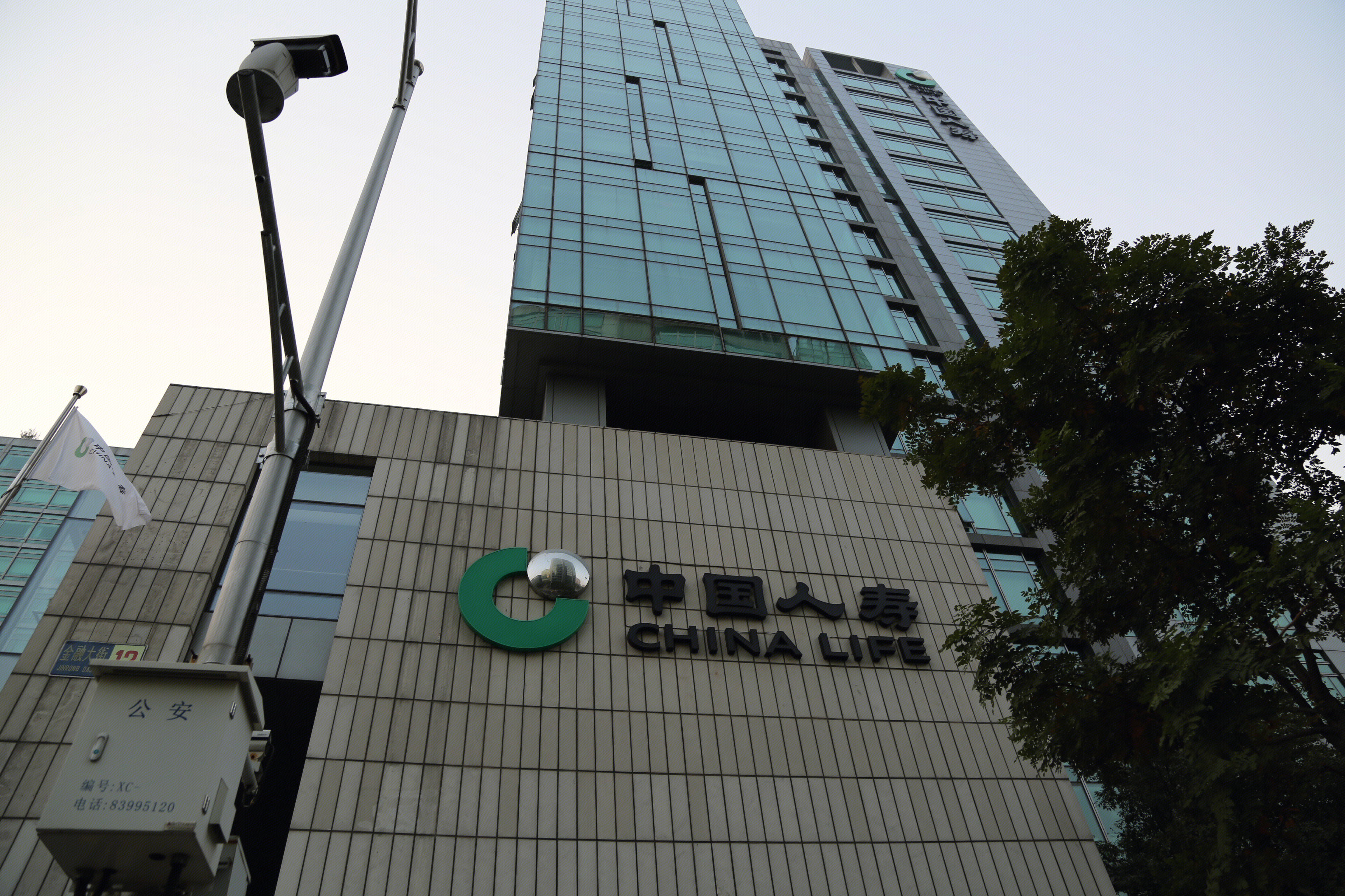 中国人寿 china life