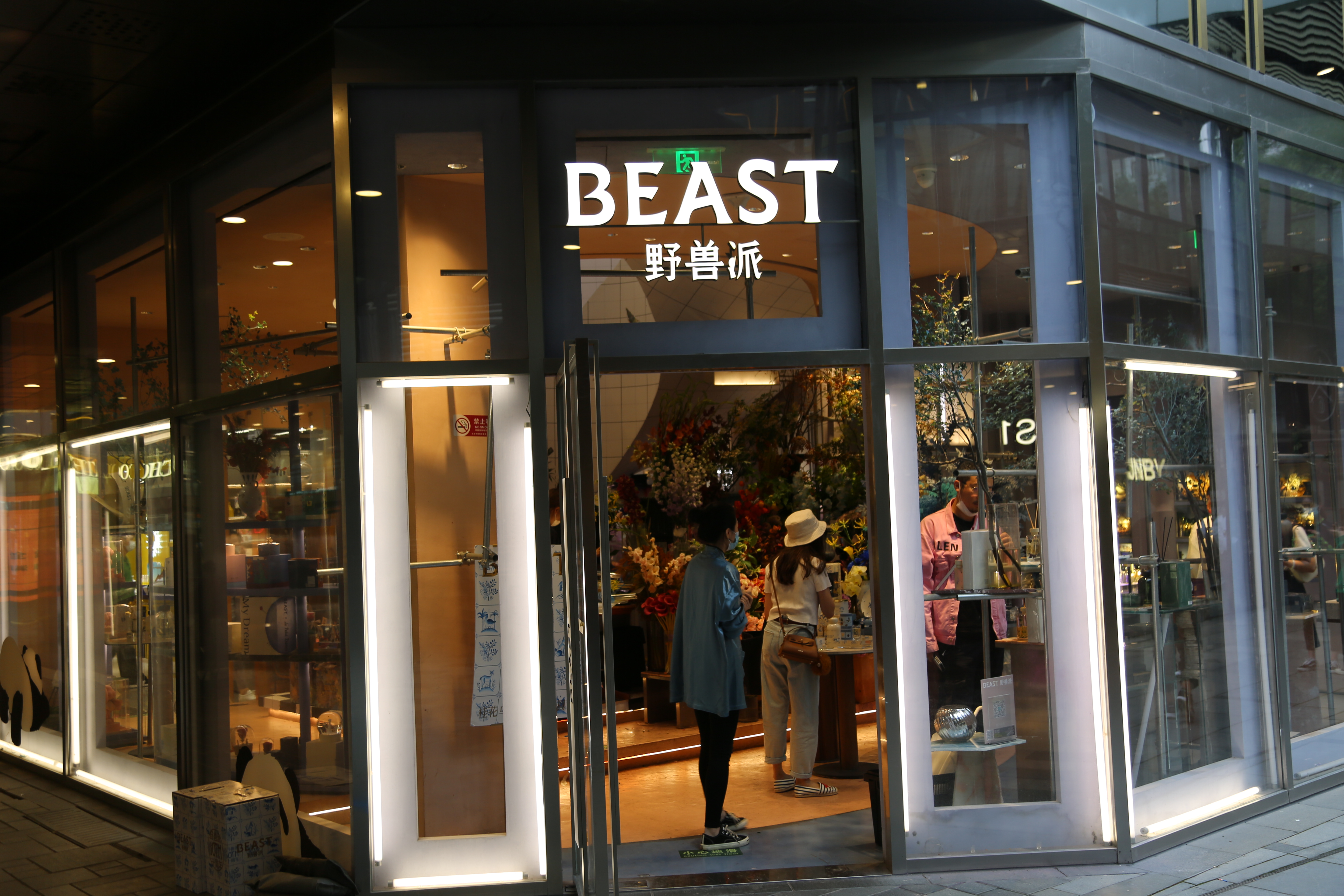 野兽派 beast