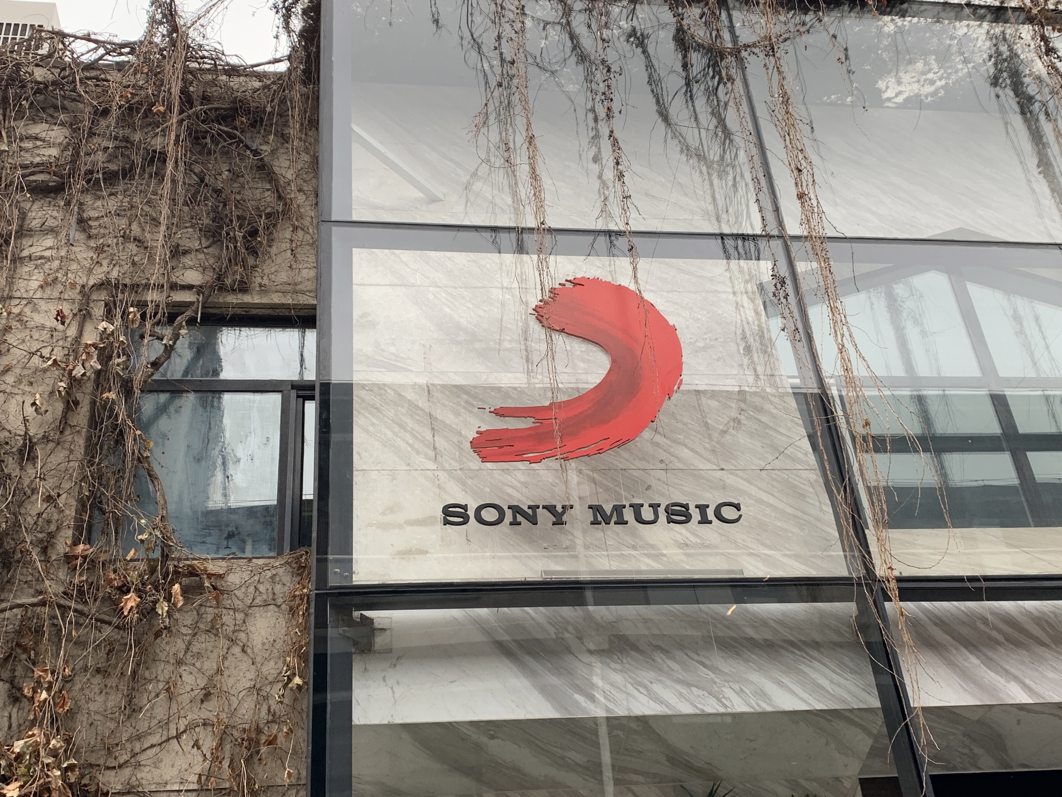 SONY MUSIC 索尼音乐 娱乐 音乐制作发行