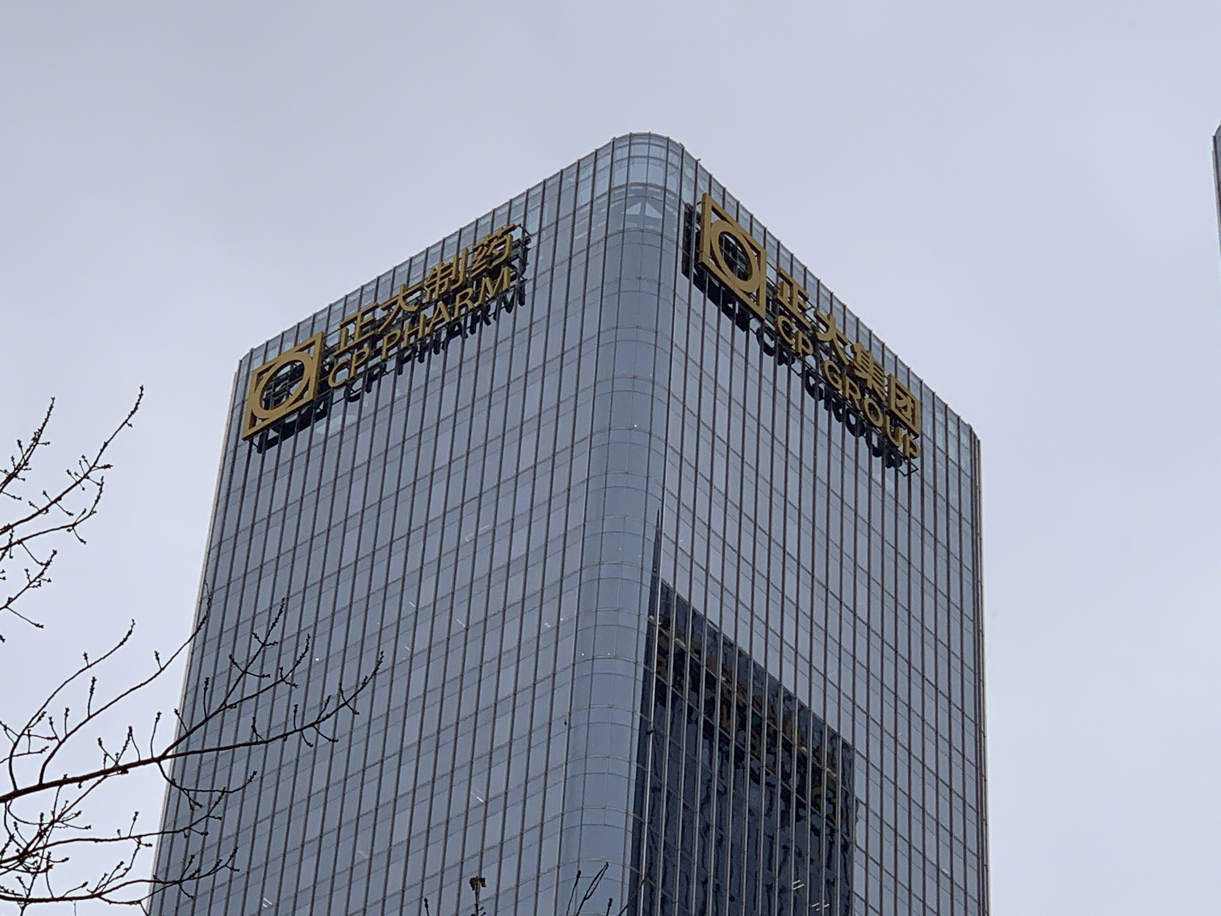 正大制药 正大集团 cp group cbd 国贸中央商务区