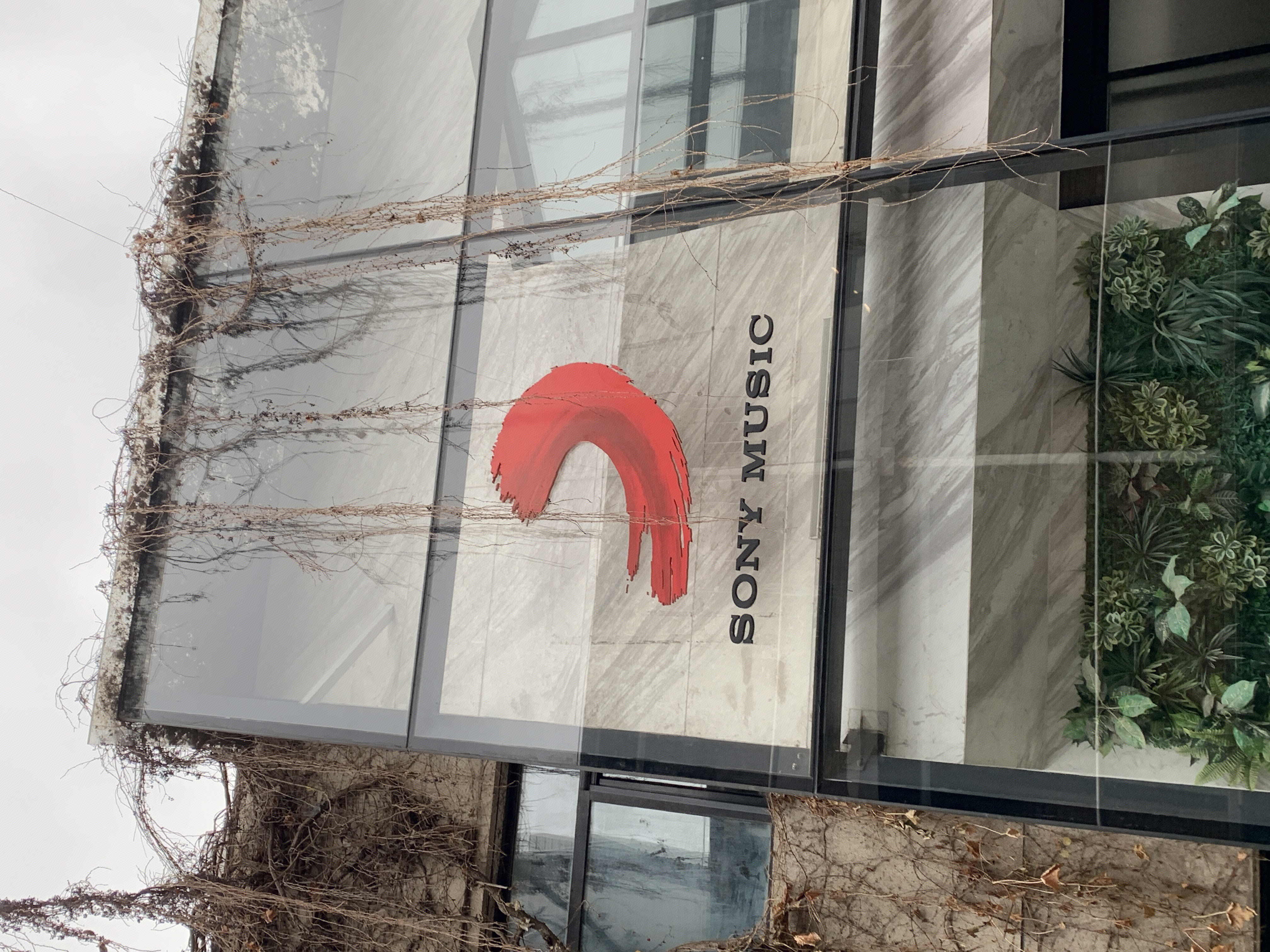 SONY MUSIC 索尼音乐 娱乐 音乐制作发行