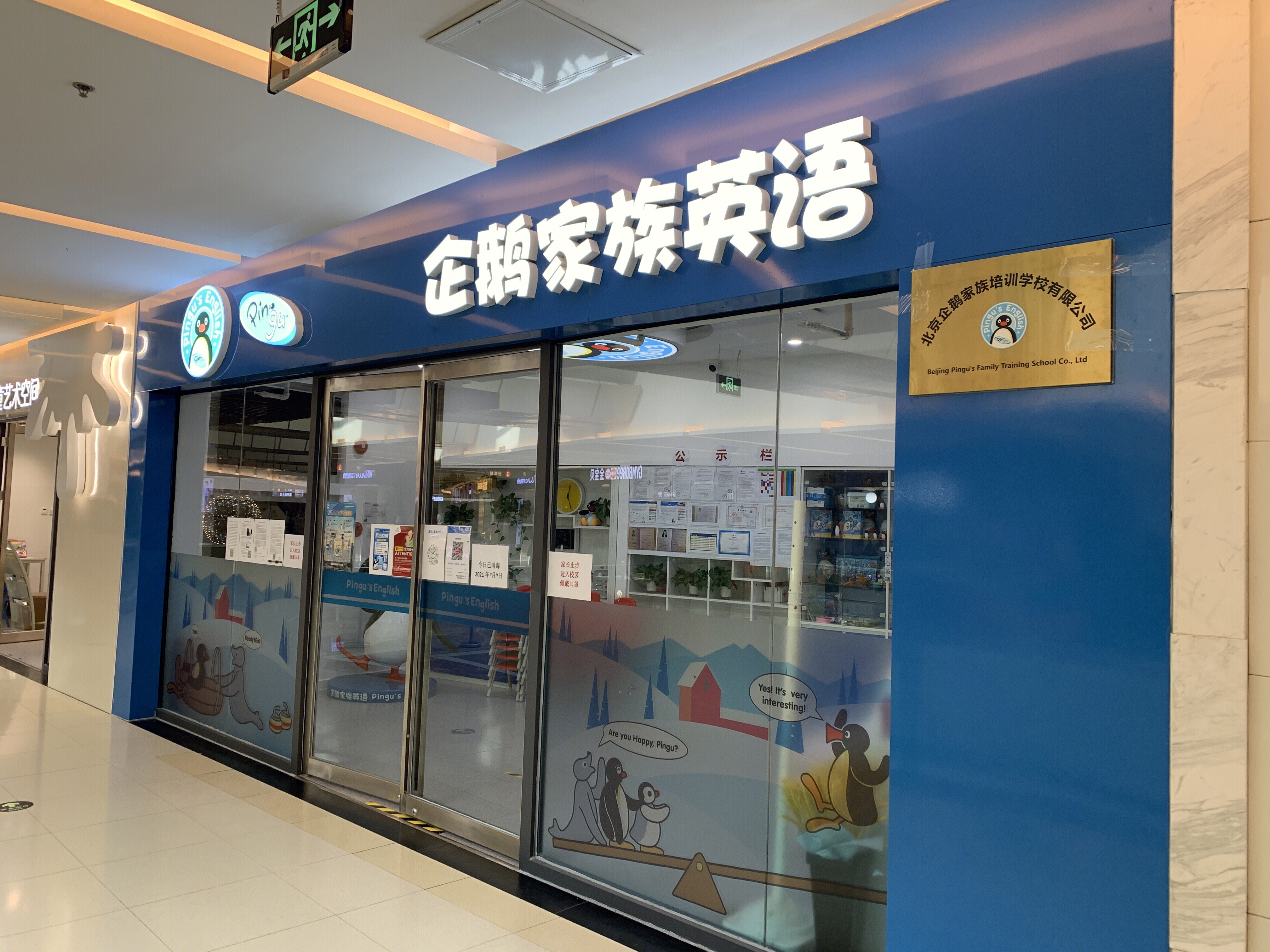 企鹅家族英语 培训 教培机构