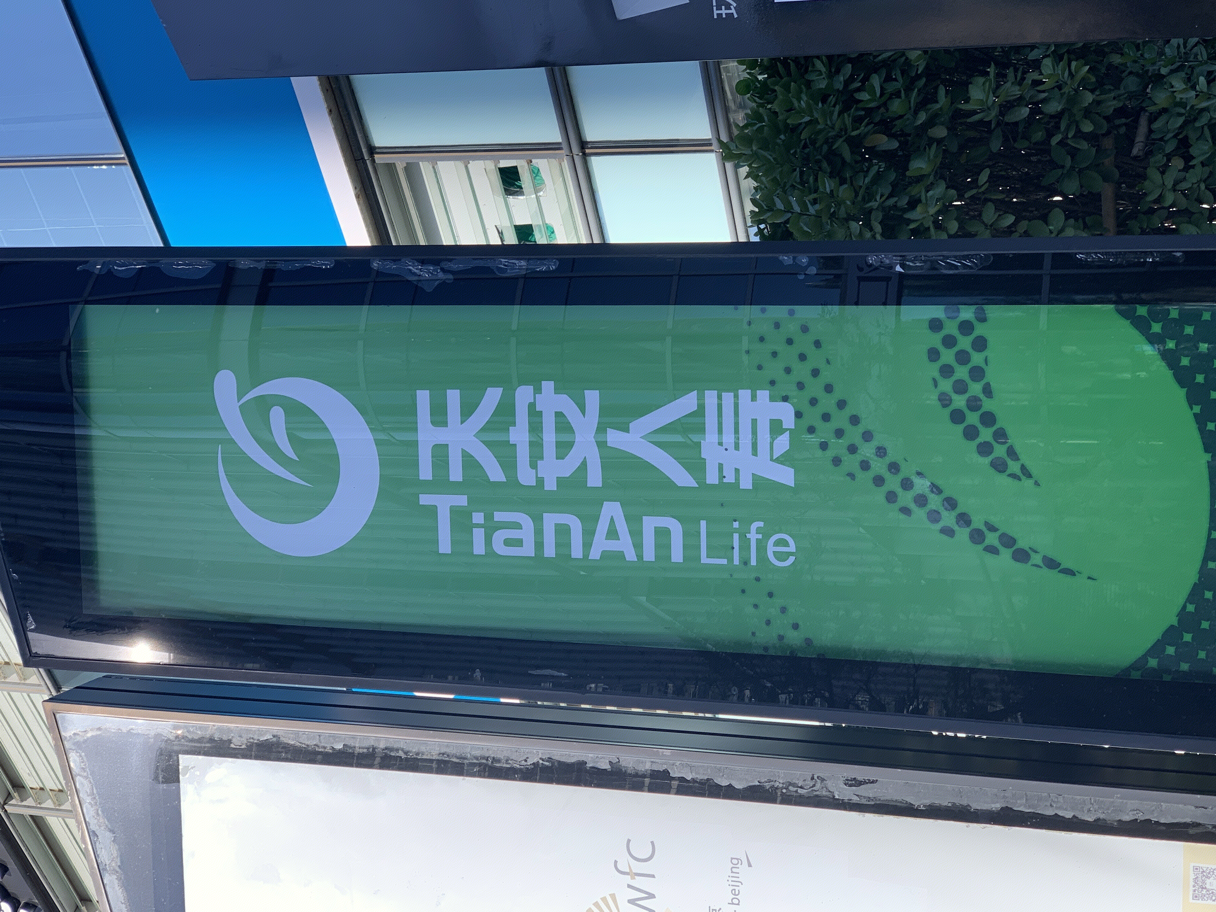 天安人寿 tianan life 保险 金融机构