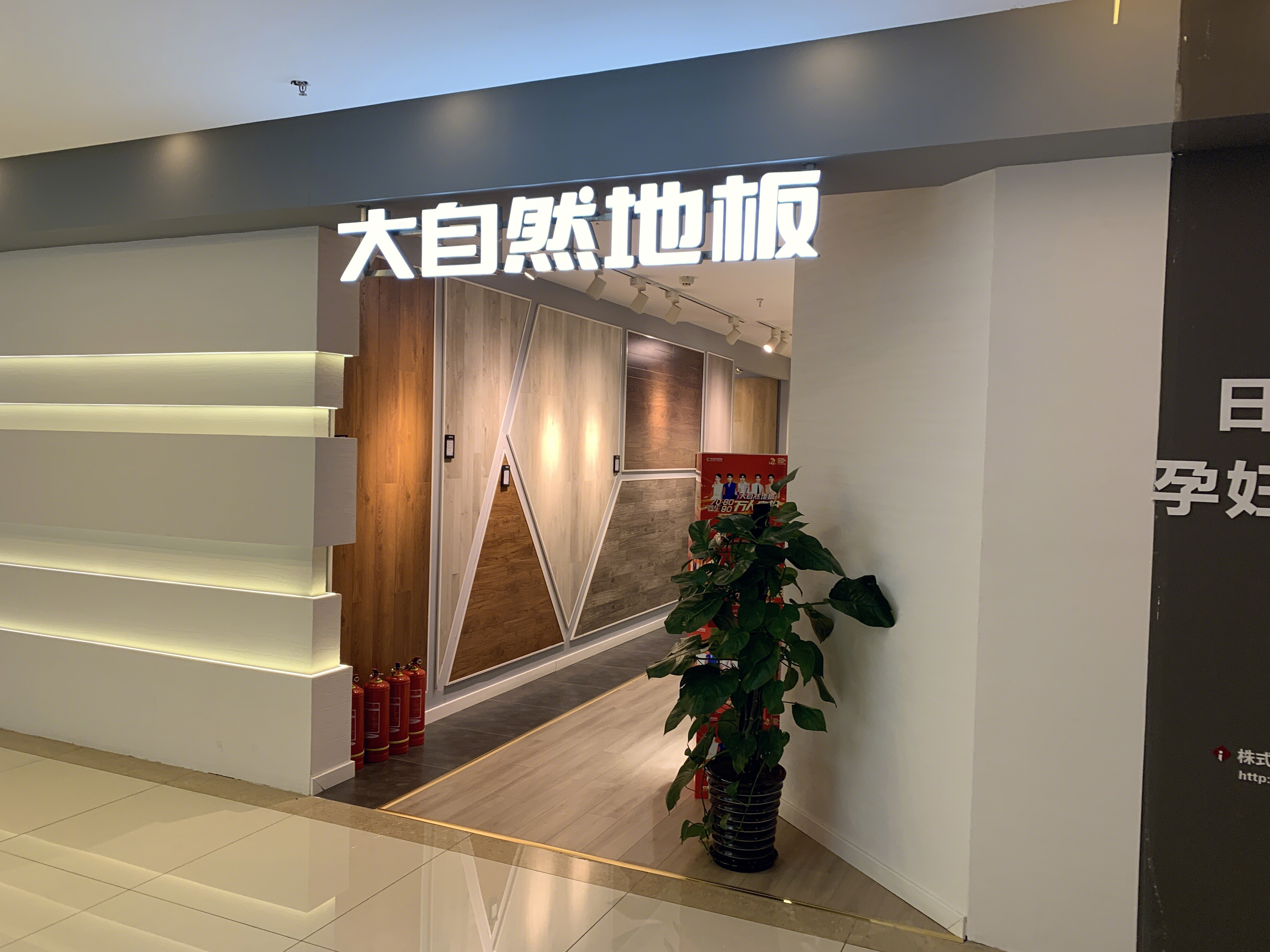 大自然地板 实木地板 装修 家装