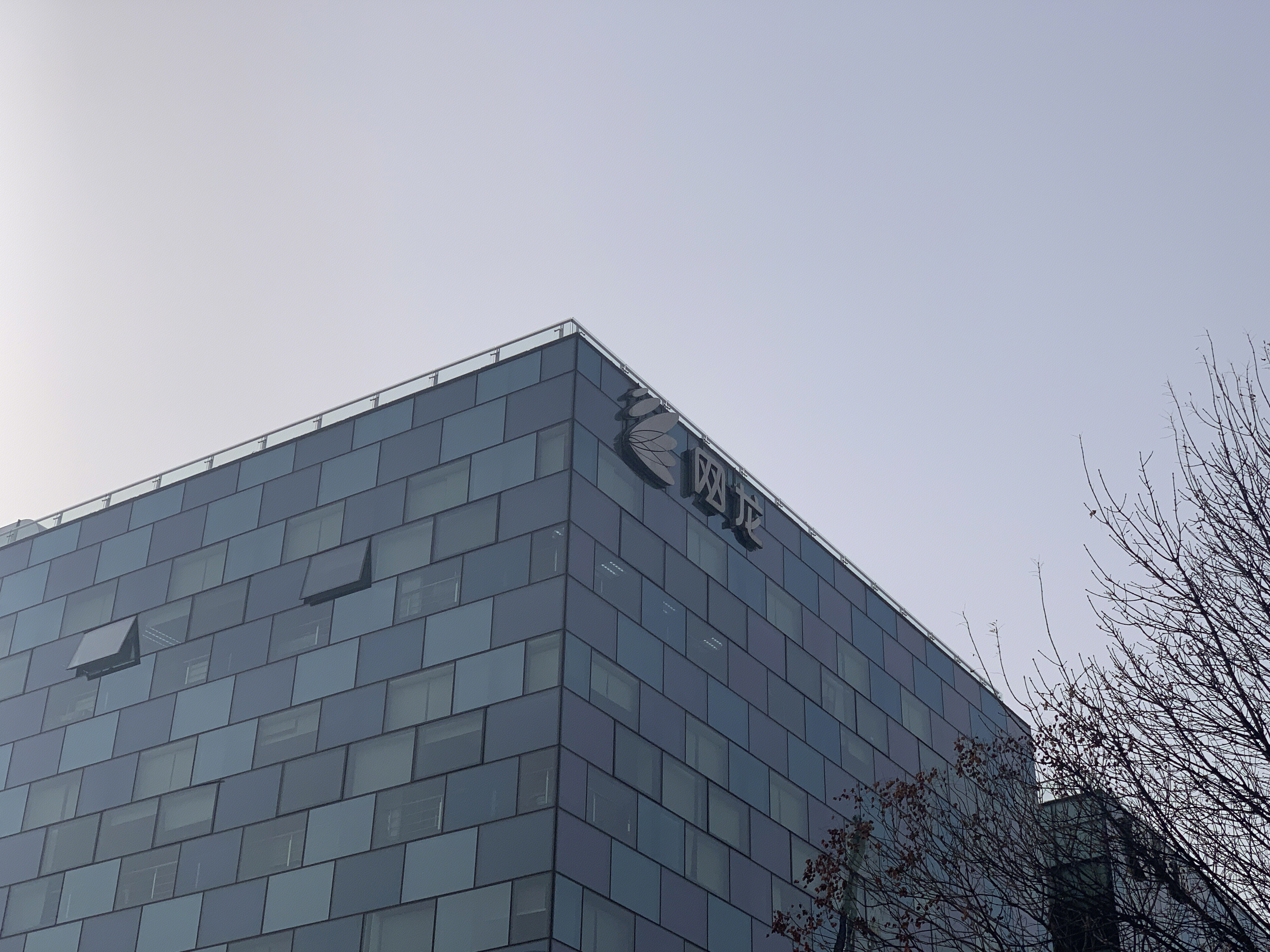 网龙 游戏 在线教育 互联网