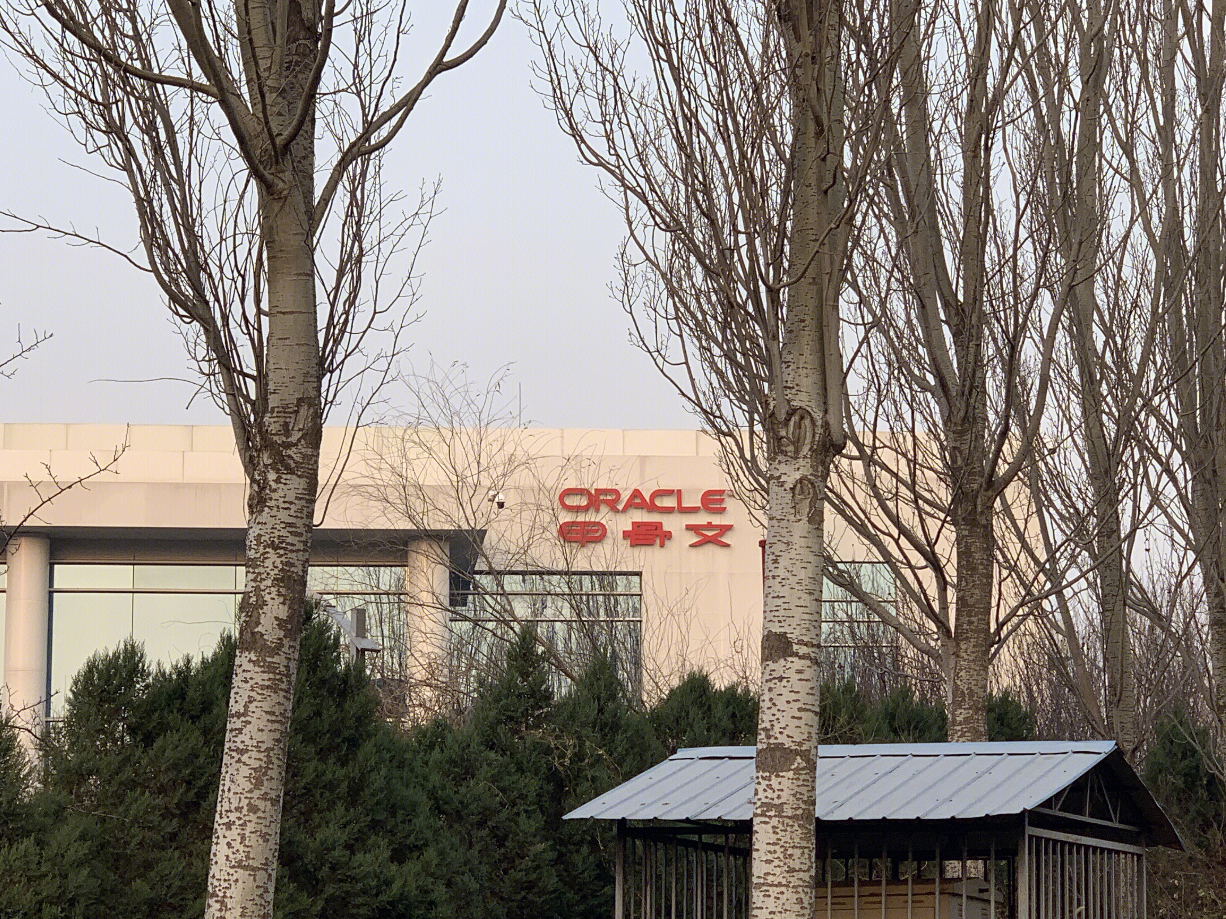 甲骨文 ORACLE 企业级软件数据库 中关村软件园 ZPARK