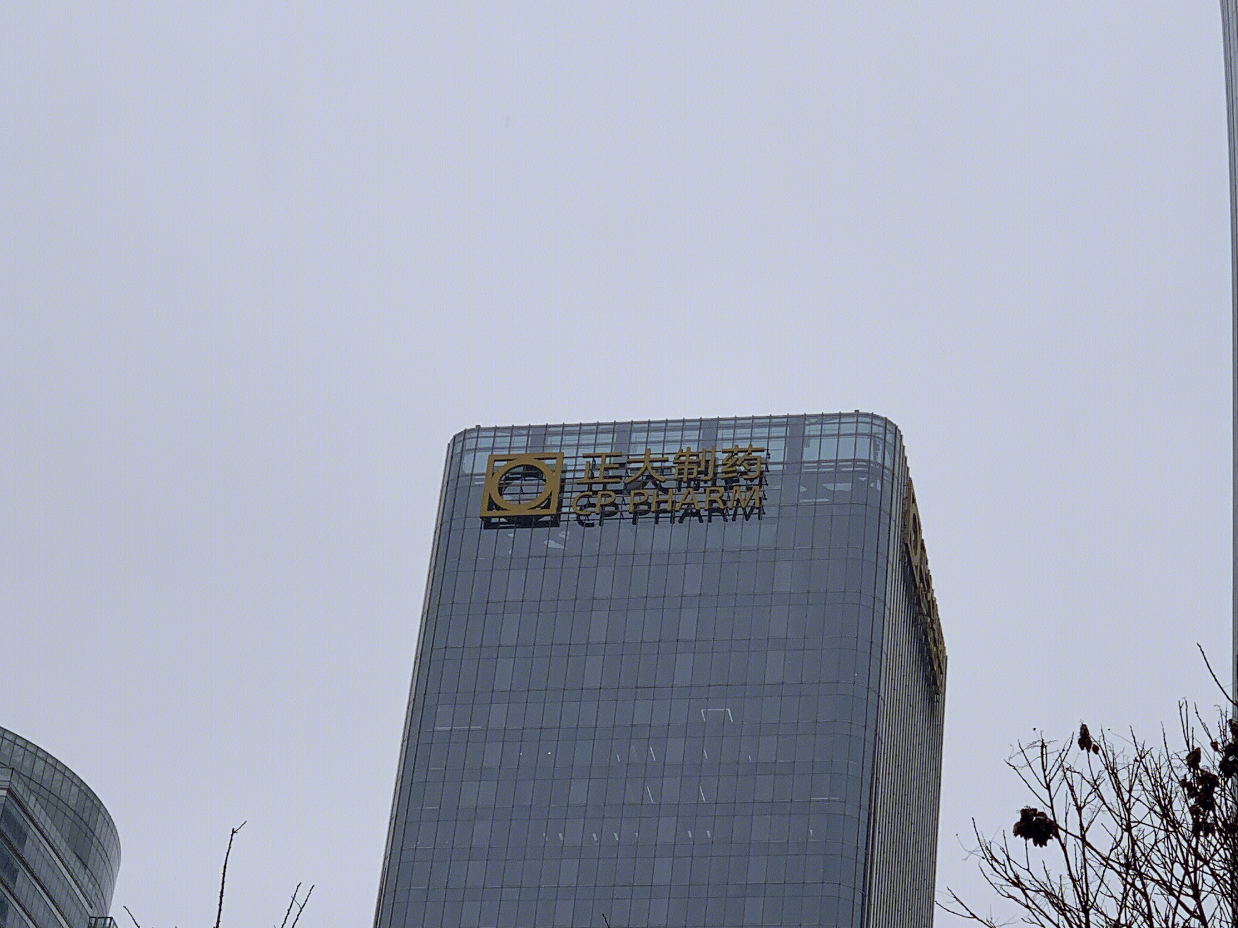 正大制药 正大集团 cp group cbd 国贸中央商务区