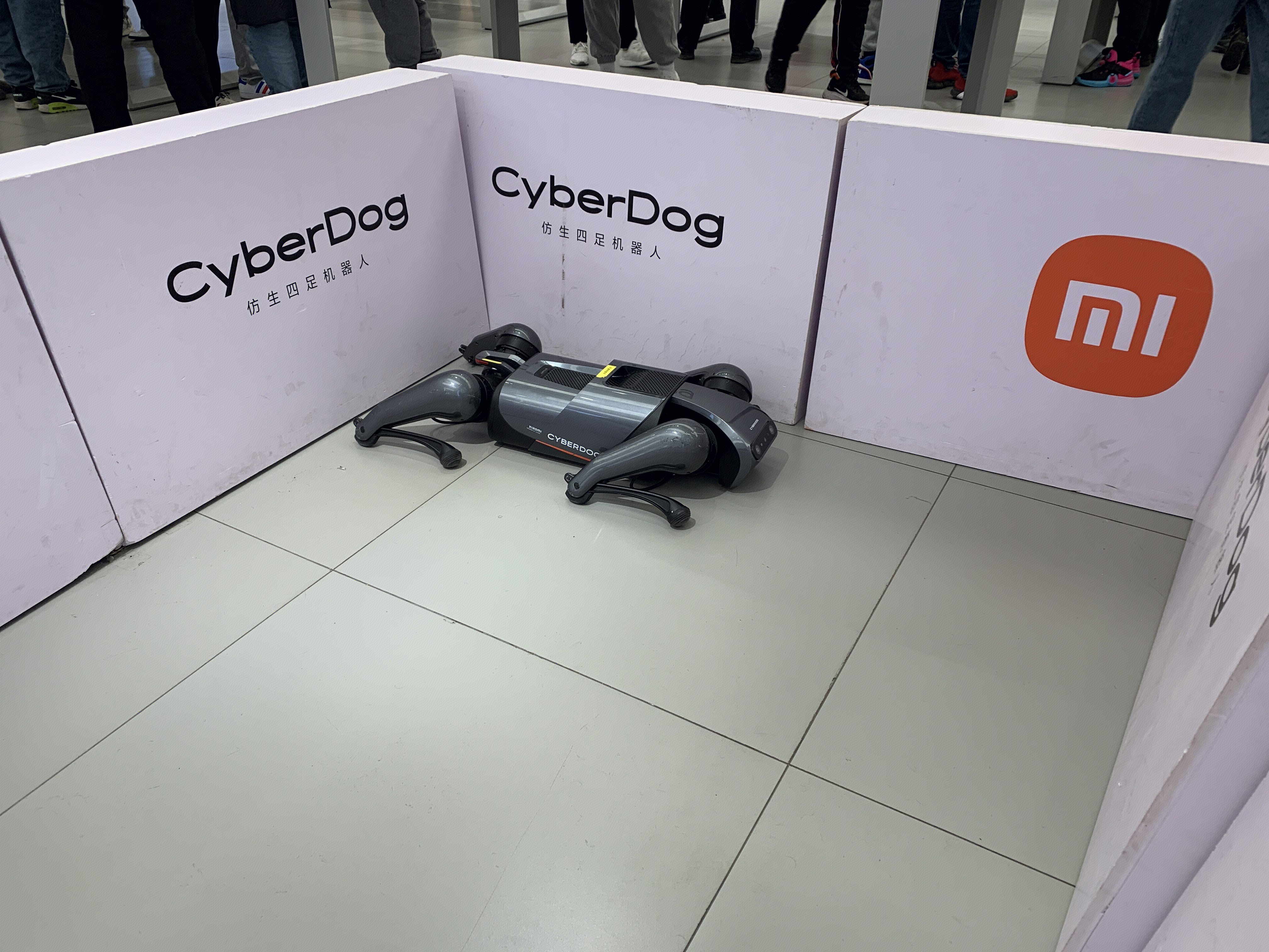 小米 Cyberdog 铁蛋 仿生四足机器人 智能 ai