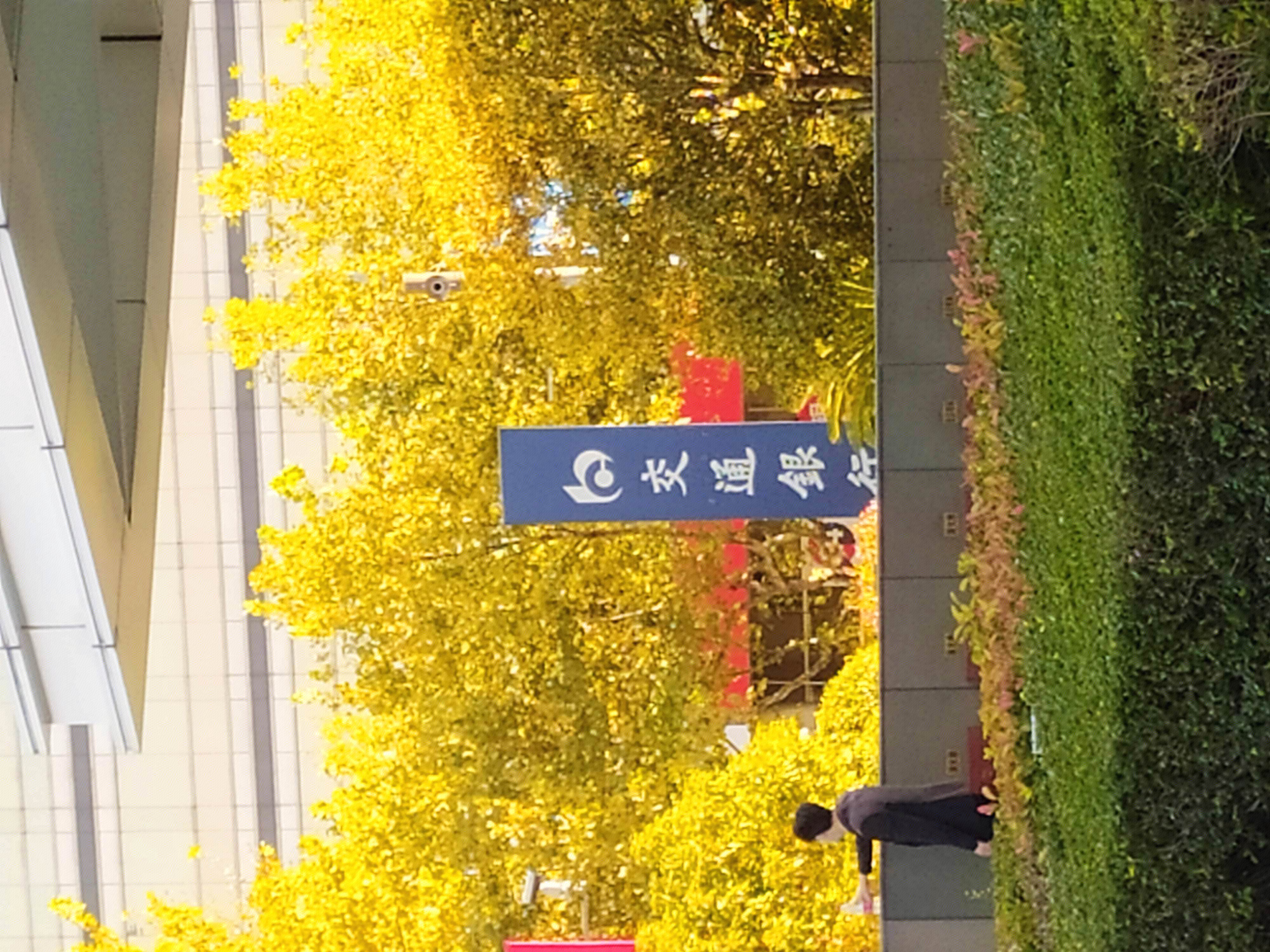 交通银行  陆家嘴 浦东 金融城  上海