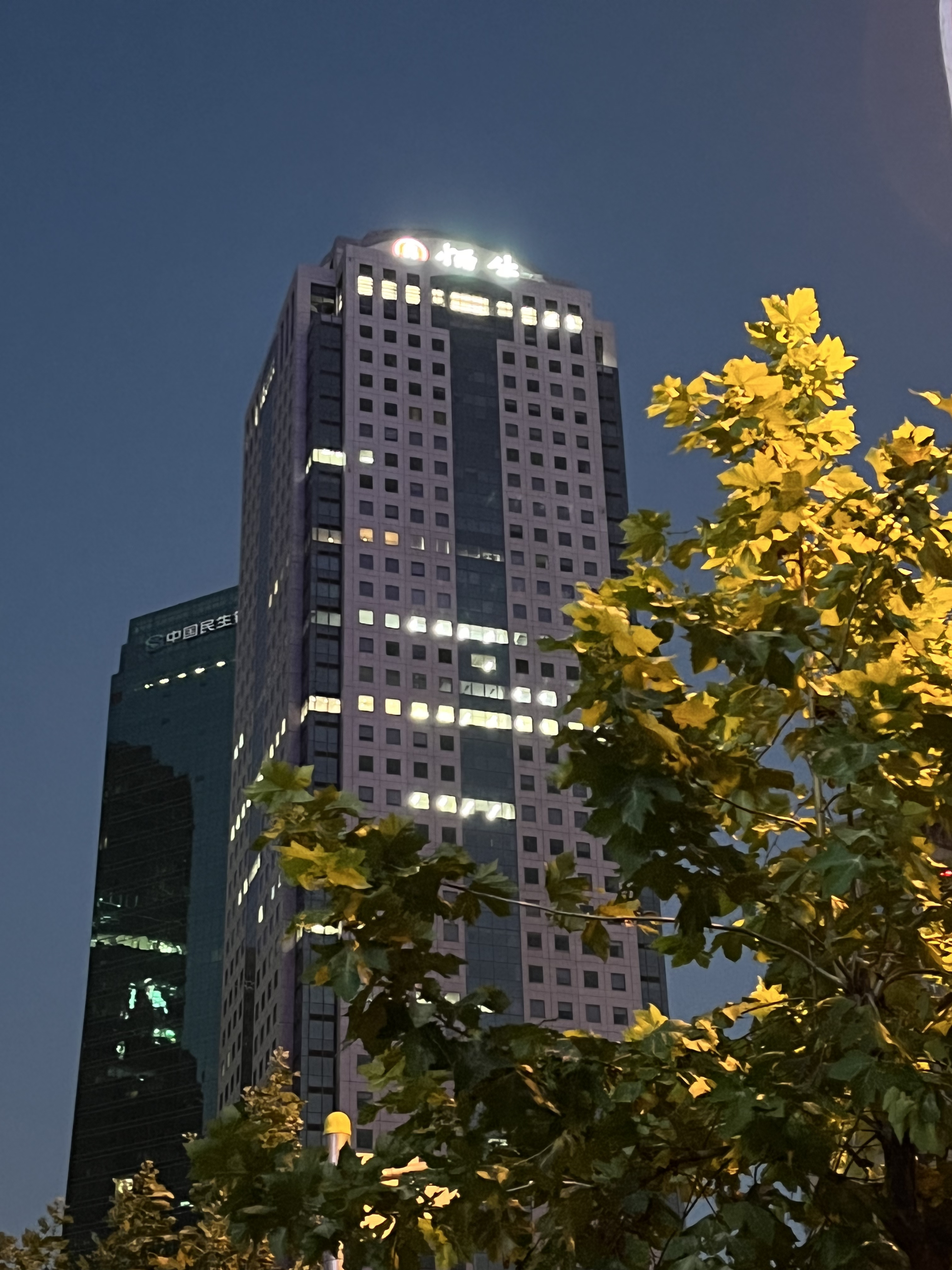 陆家嘴 金融区 金融机构 高楼 大厦 城市 上海 夜景