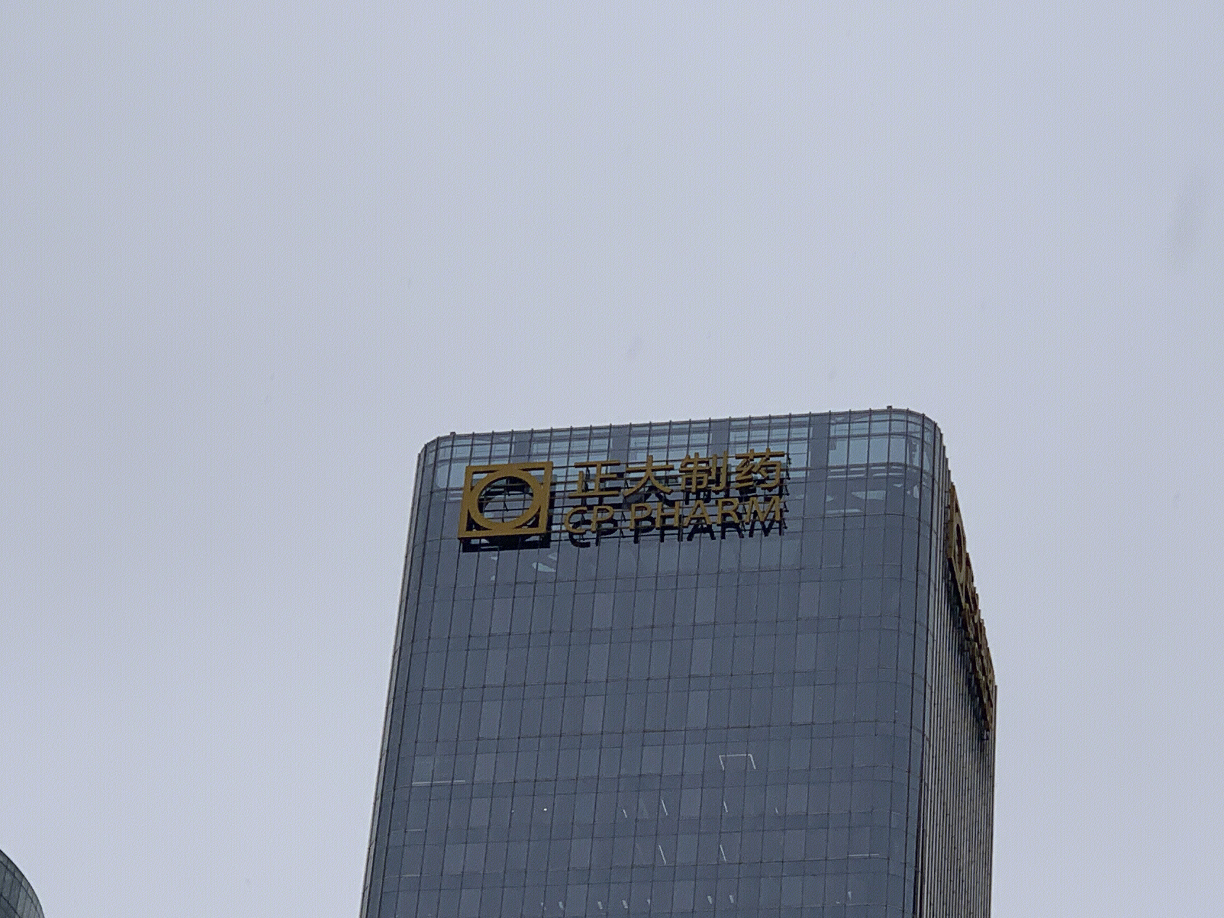 正大制药 正大集团 cp group cbd 国贸中央商务区