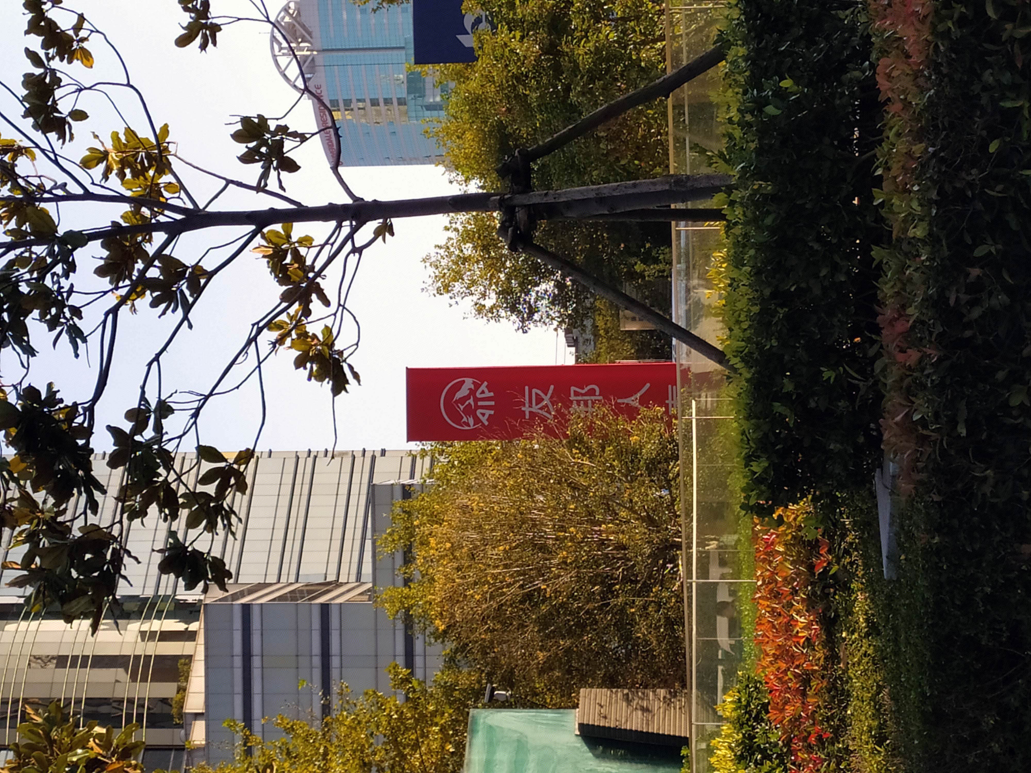 友邦人寿 AIA 保险 陆家嘴 浦东 金融城  上海