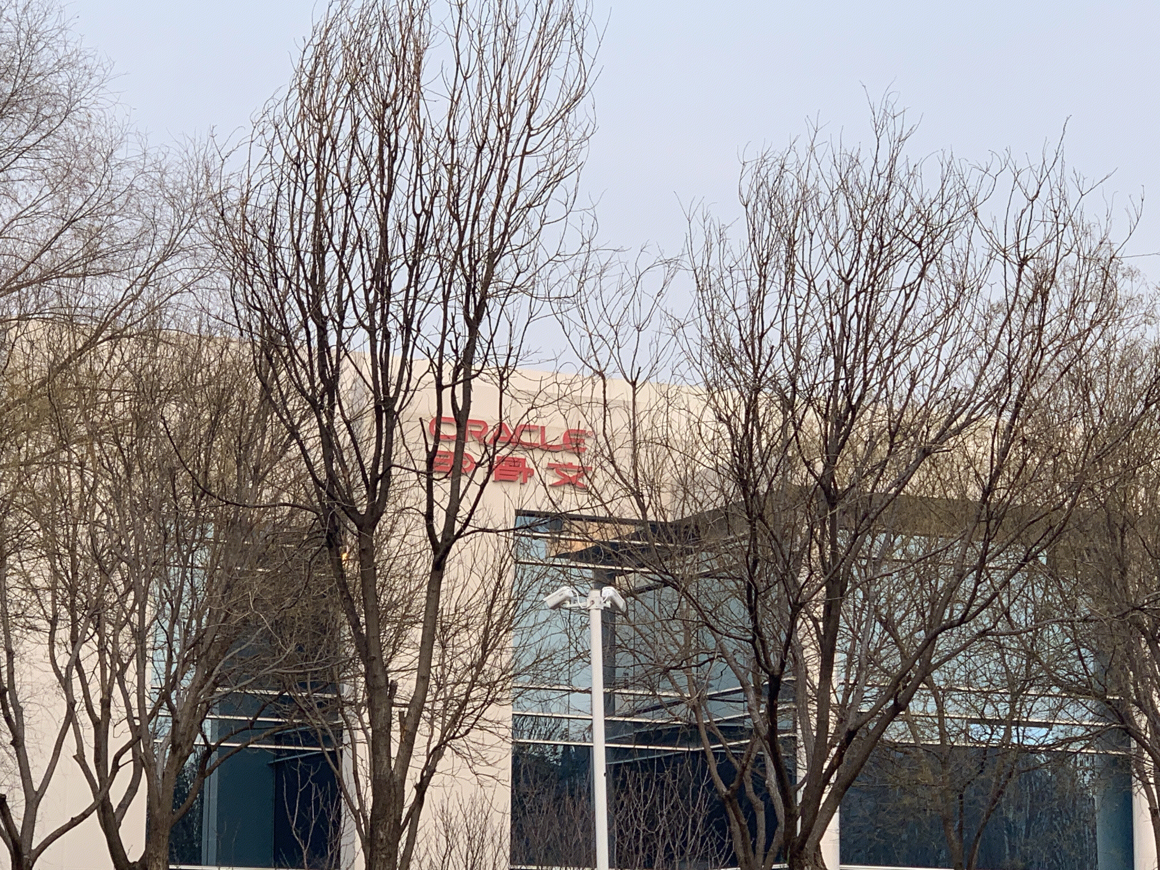 甲骨文 ORACLE 企业级软件数据库 中关村软件园 ZPARK