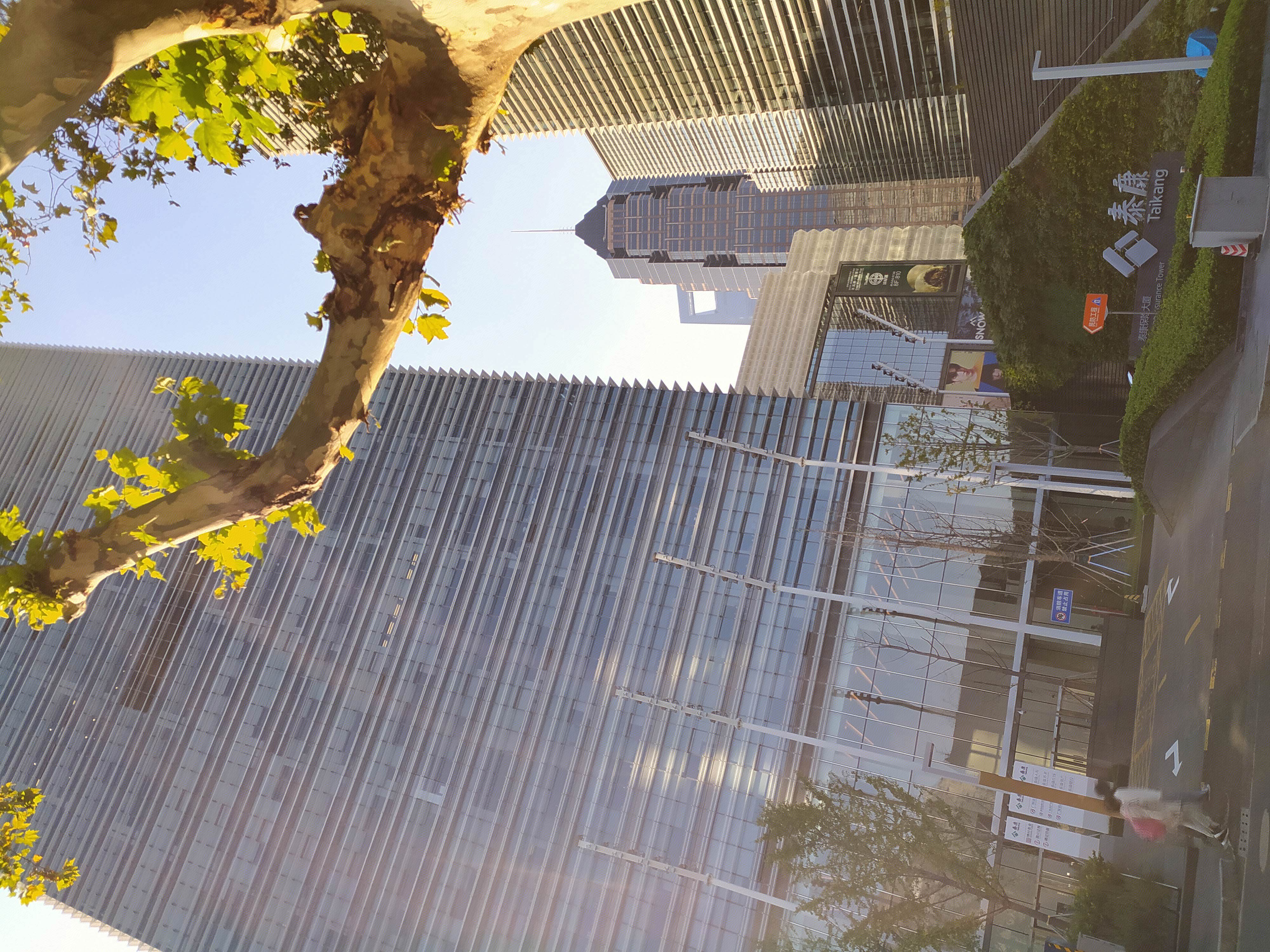 泰康 人寿 保险 陆家嘴 浦东 金融城  上海