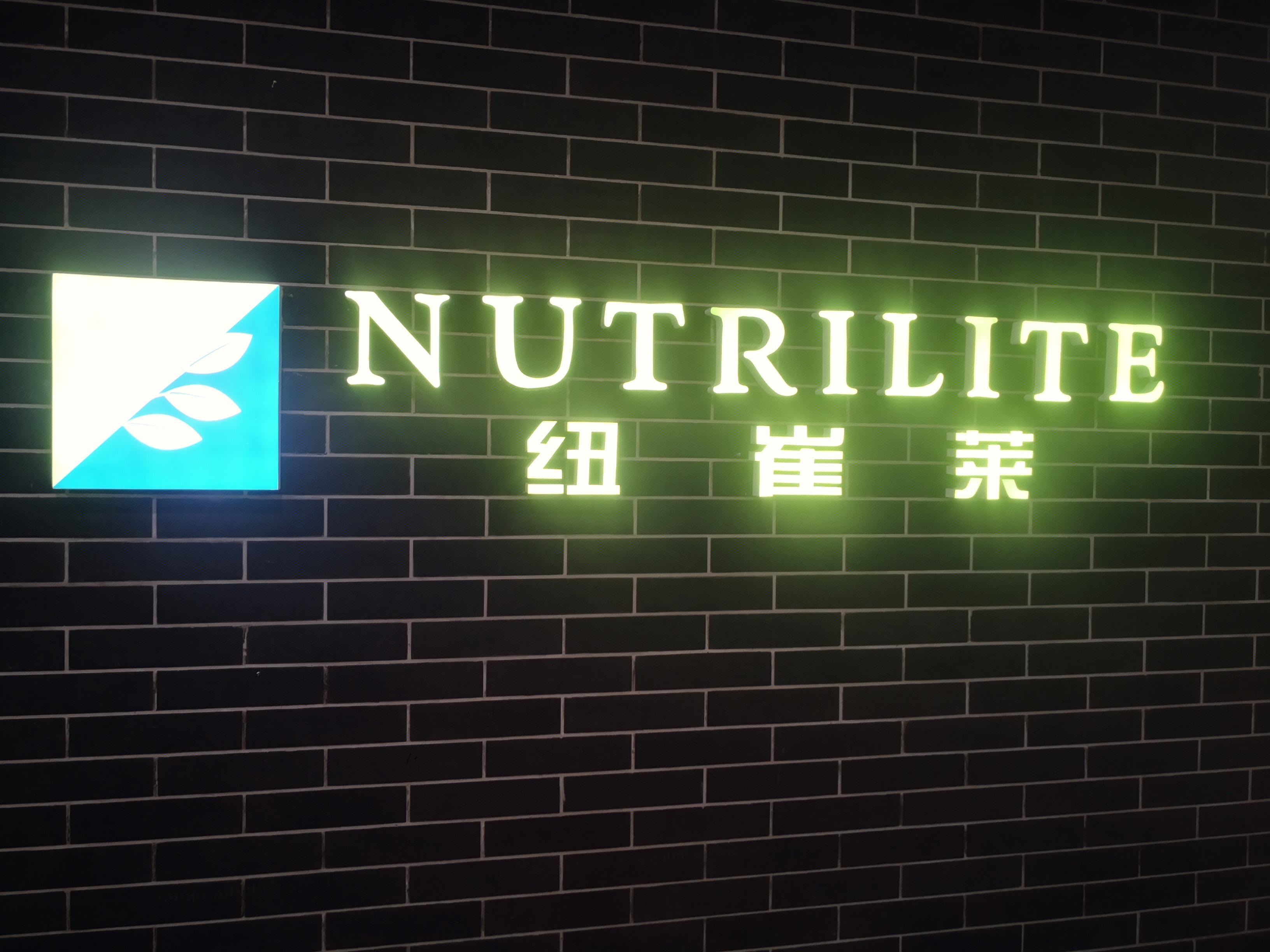 安利 NUTRILITE  纽崔莱  维生素  蛋白质粉  营养 保健品 直销