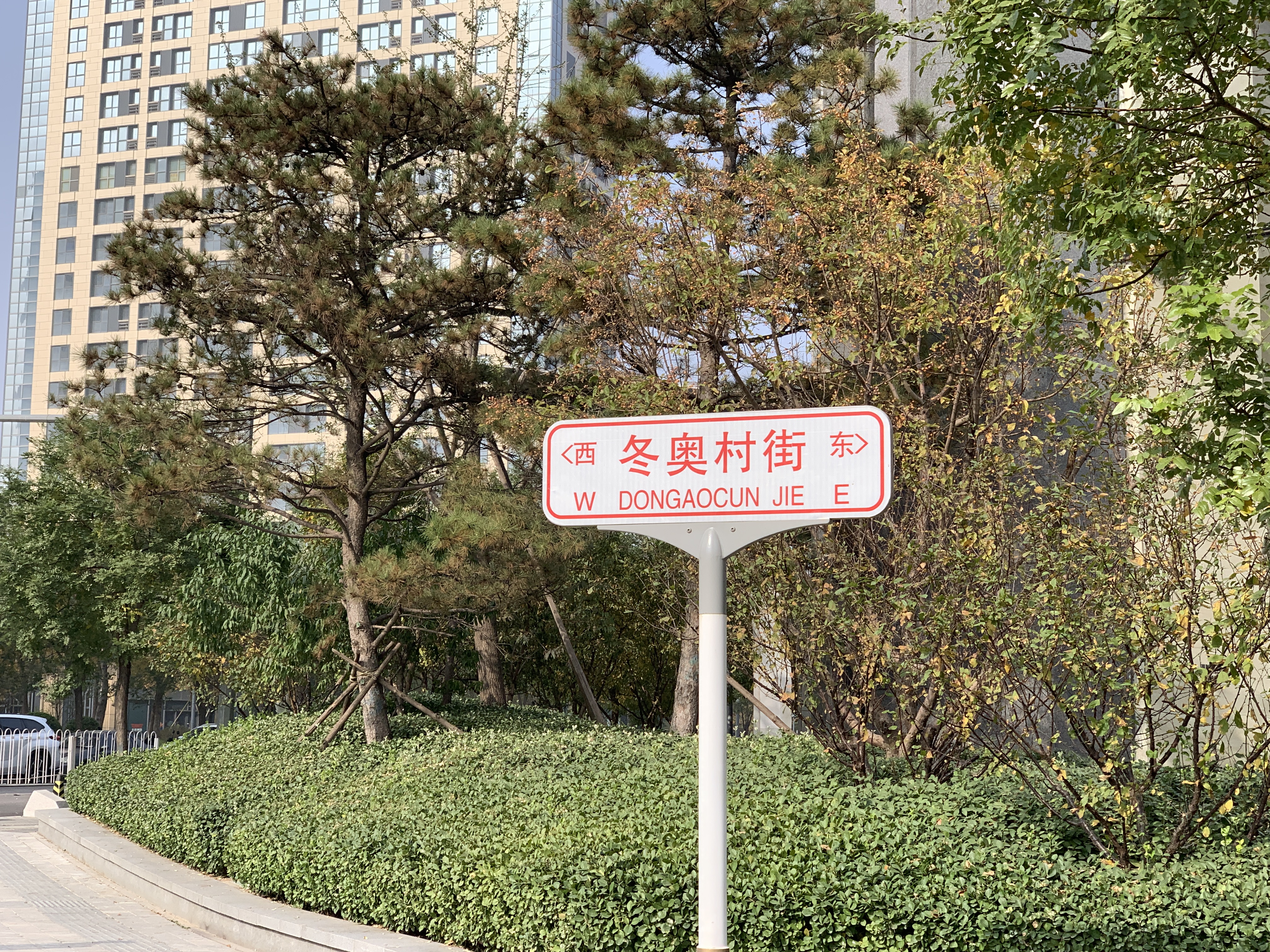 冬奥 奥运会 北京冬奥会