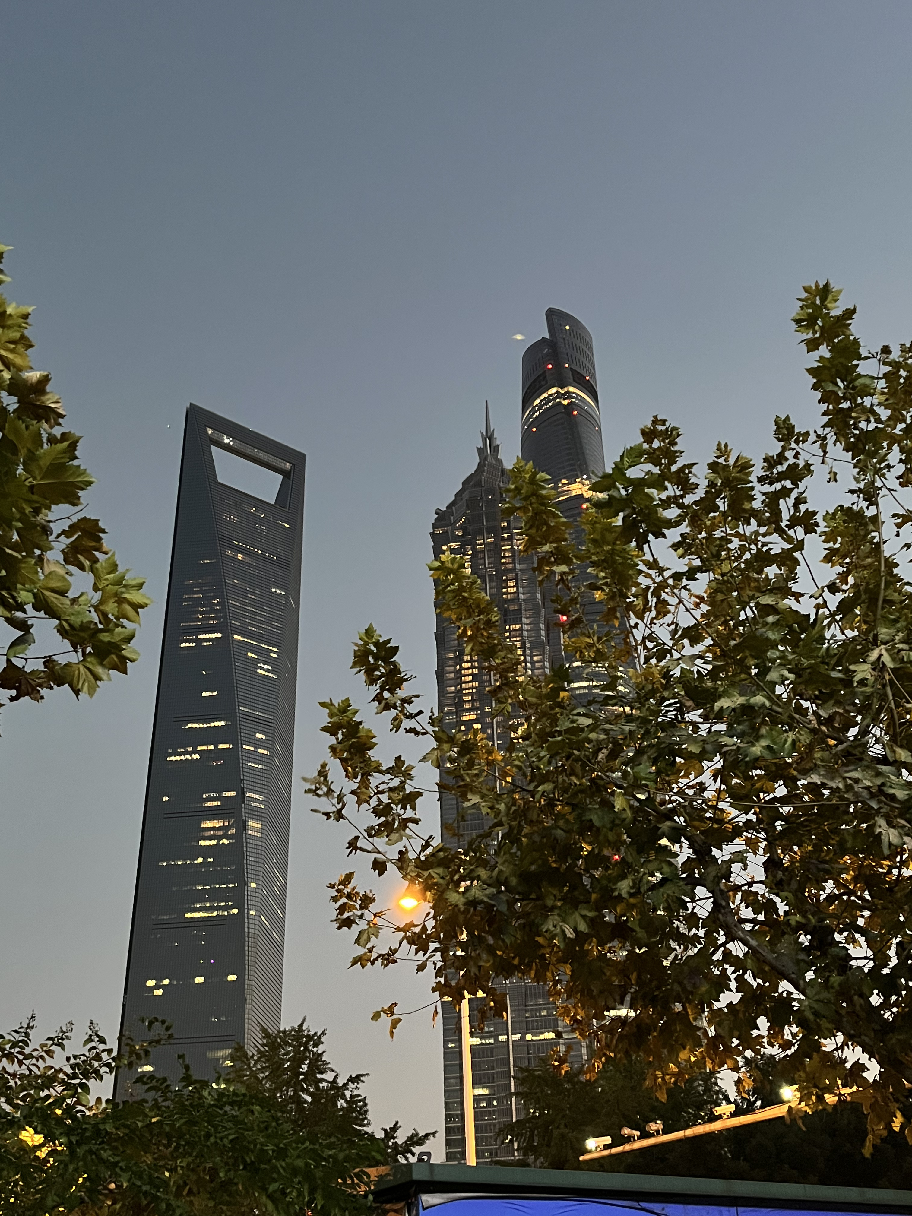 陆家嘴 金融区 金融机构 高楼 大厦 城市 上海