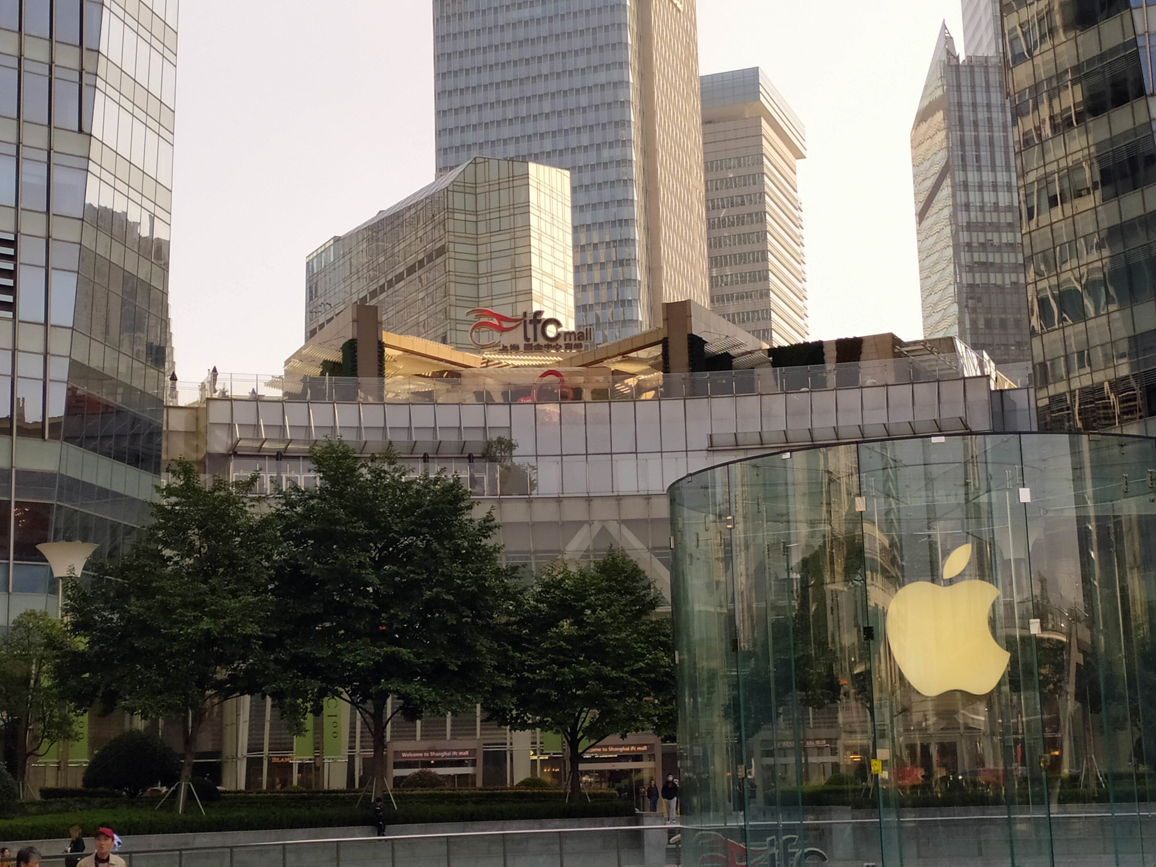 中国太平 保险 陆家嘴 浦东 金融城 写字楼 高楼 大厦 上海 城市