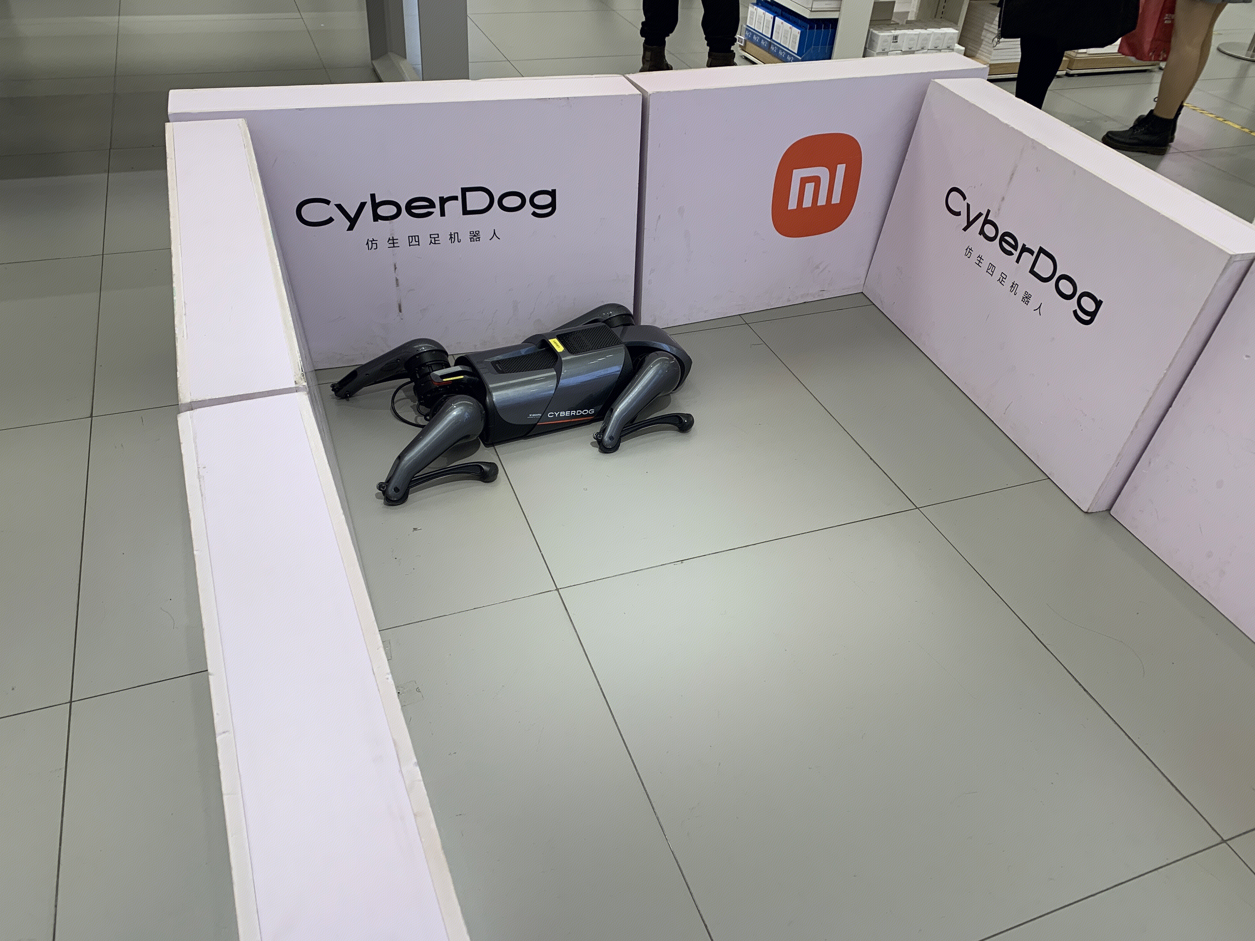 小米 Cyberdog 铁蛋 仿生四足机器人 智能 ai