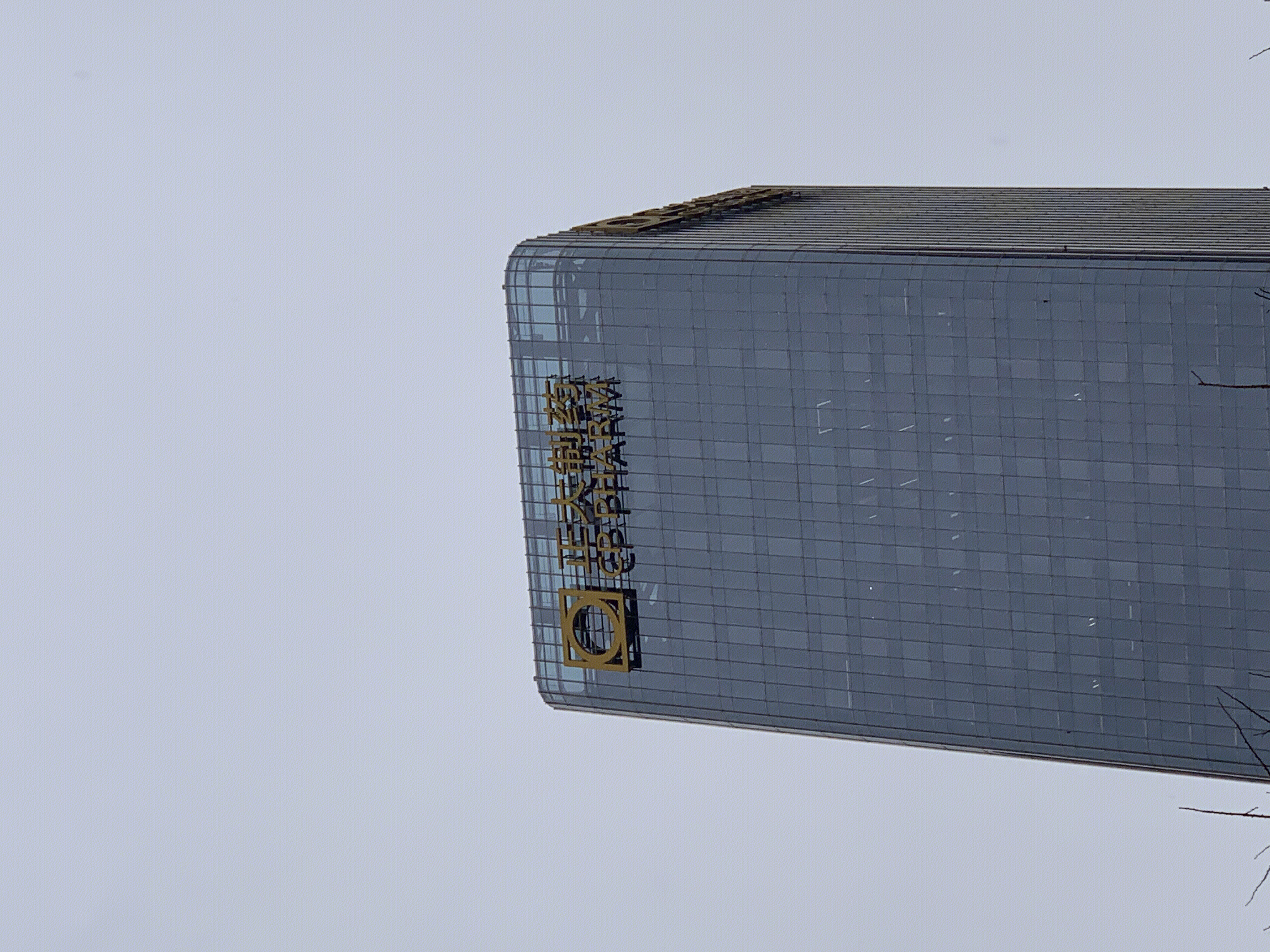 正大制药 正大集团 cp group cbd 国贸中央商务区