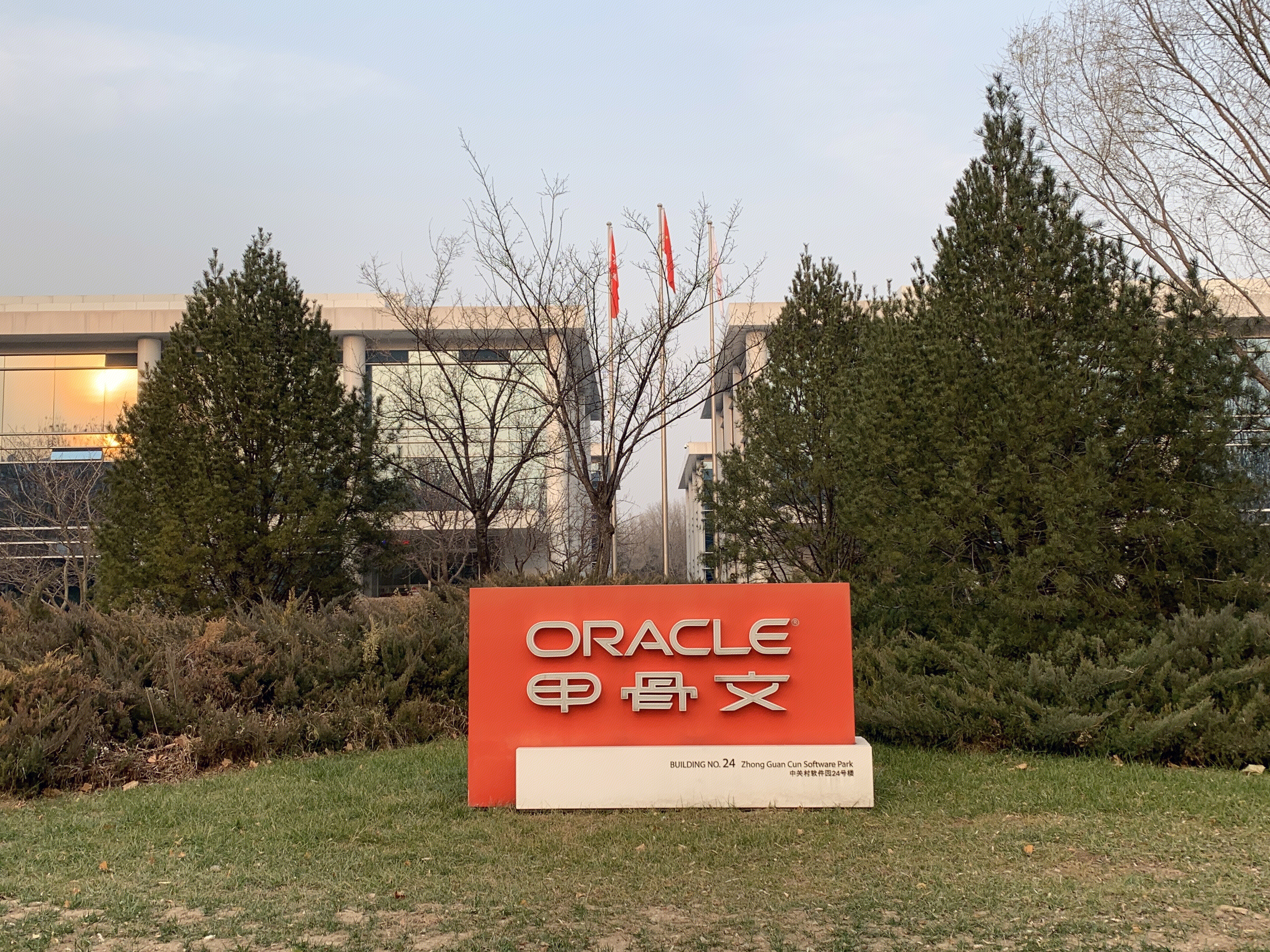甲骨文 ORACLE 企业级软件数据库 中关村软件园 ZPARK