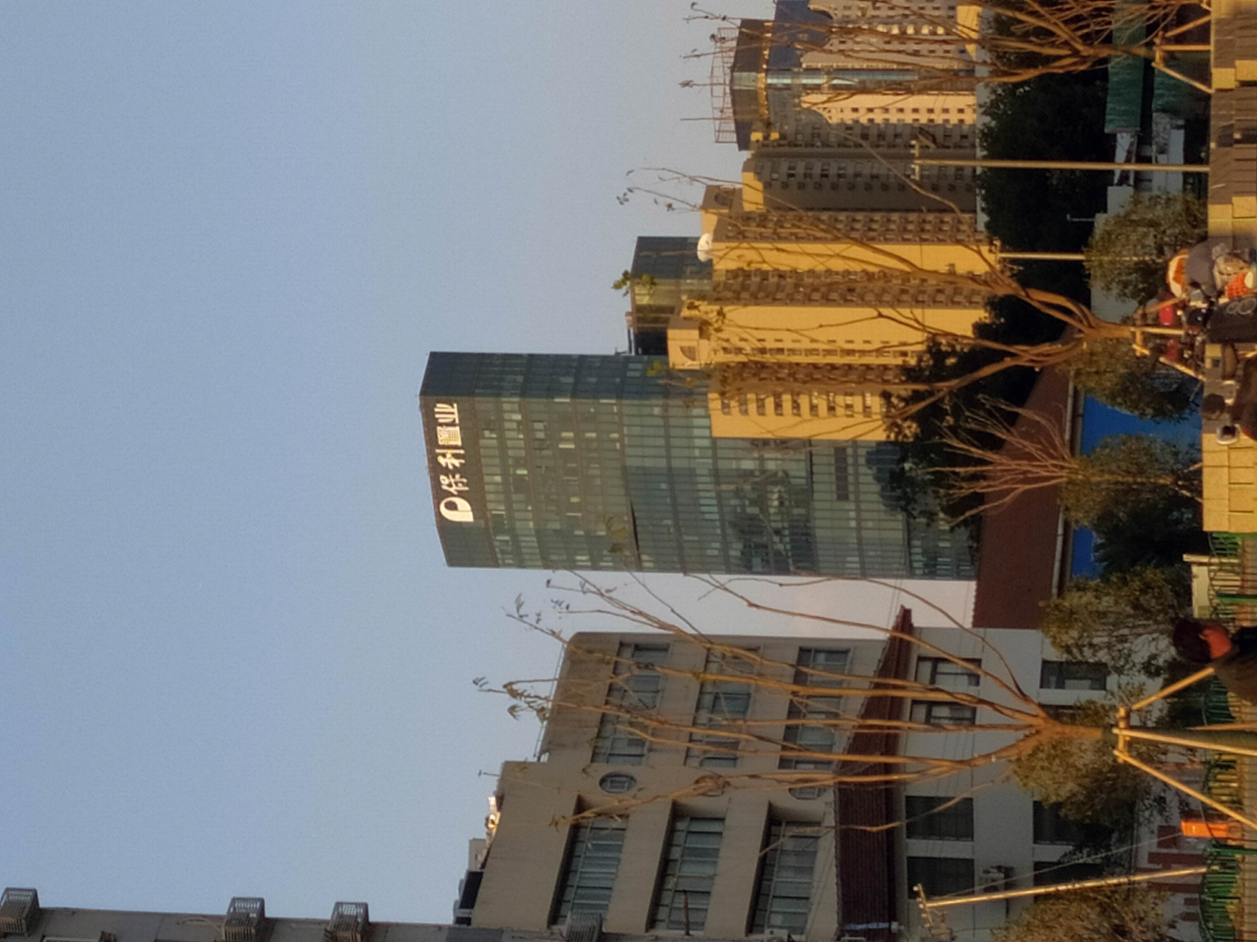 保利置业 房地产商 陆家嘴 浦东 金融城 上海