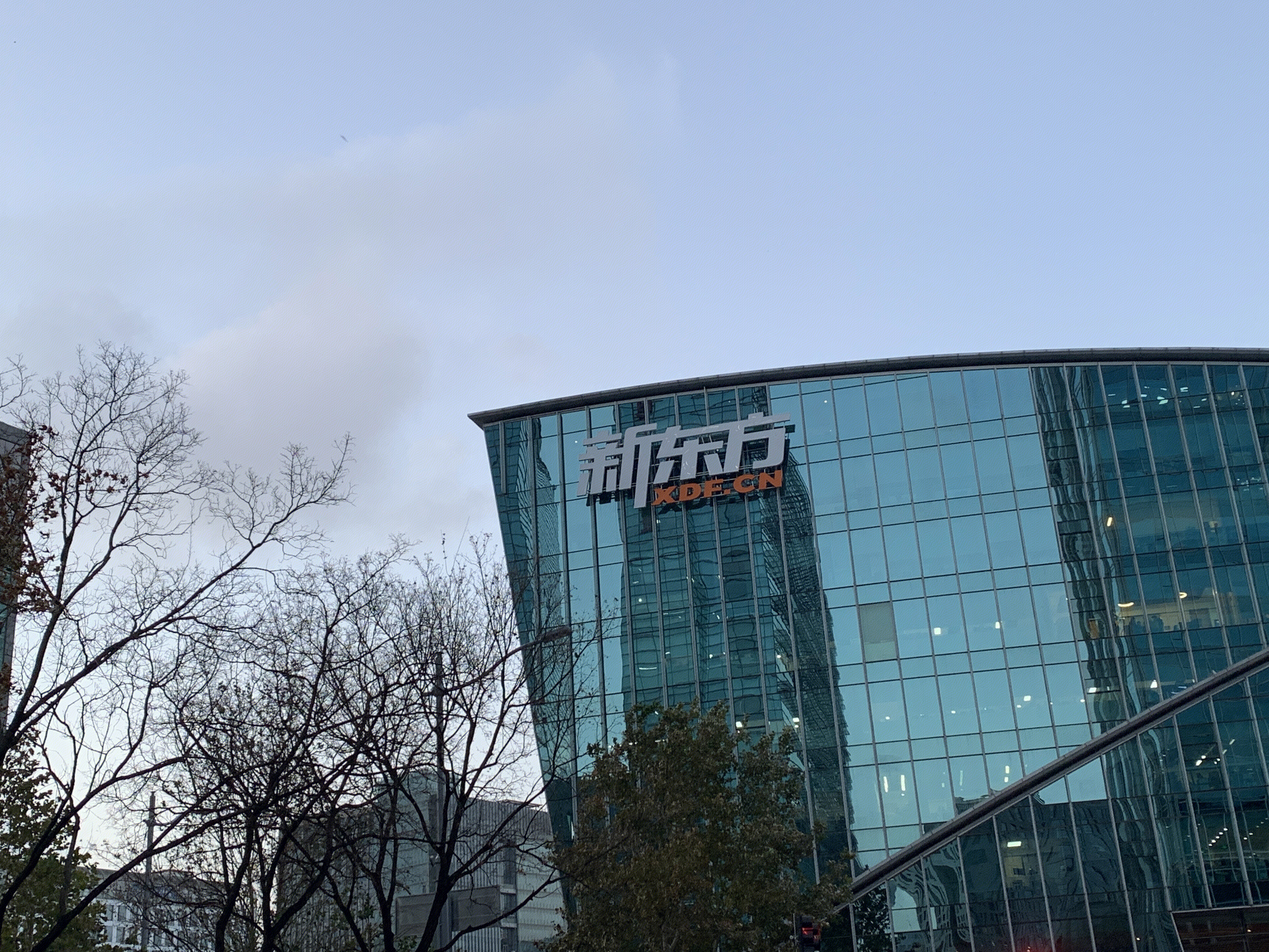 新东方 留学教育 教培 在线教育