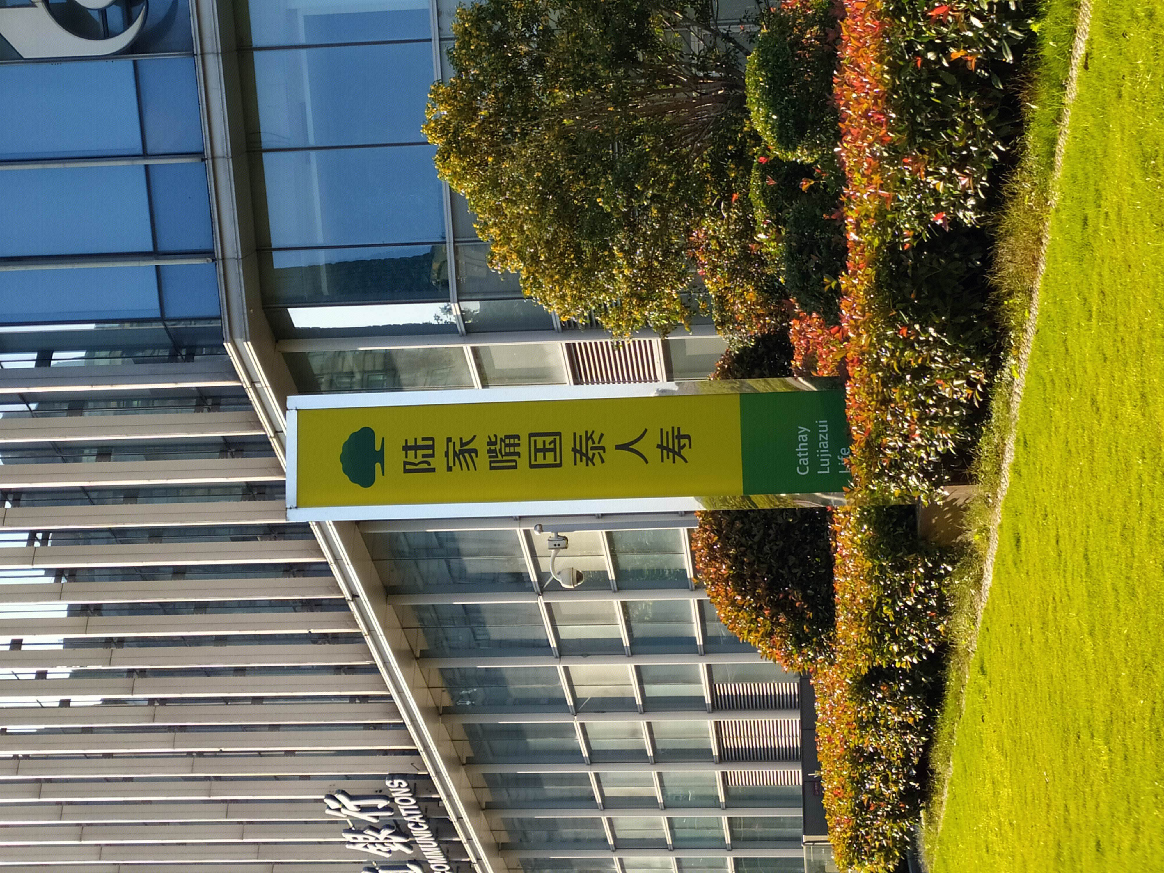 陆家嘴国泰人寿 保险 寿险  陆家嘴 浦东 金融城  上海