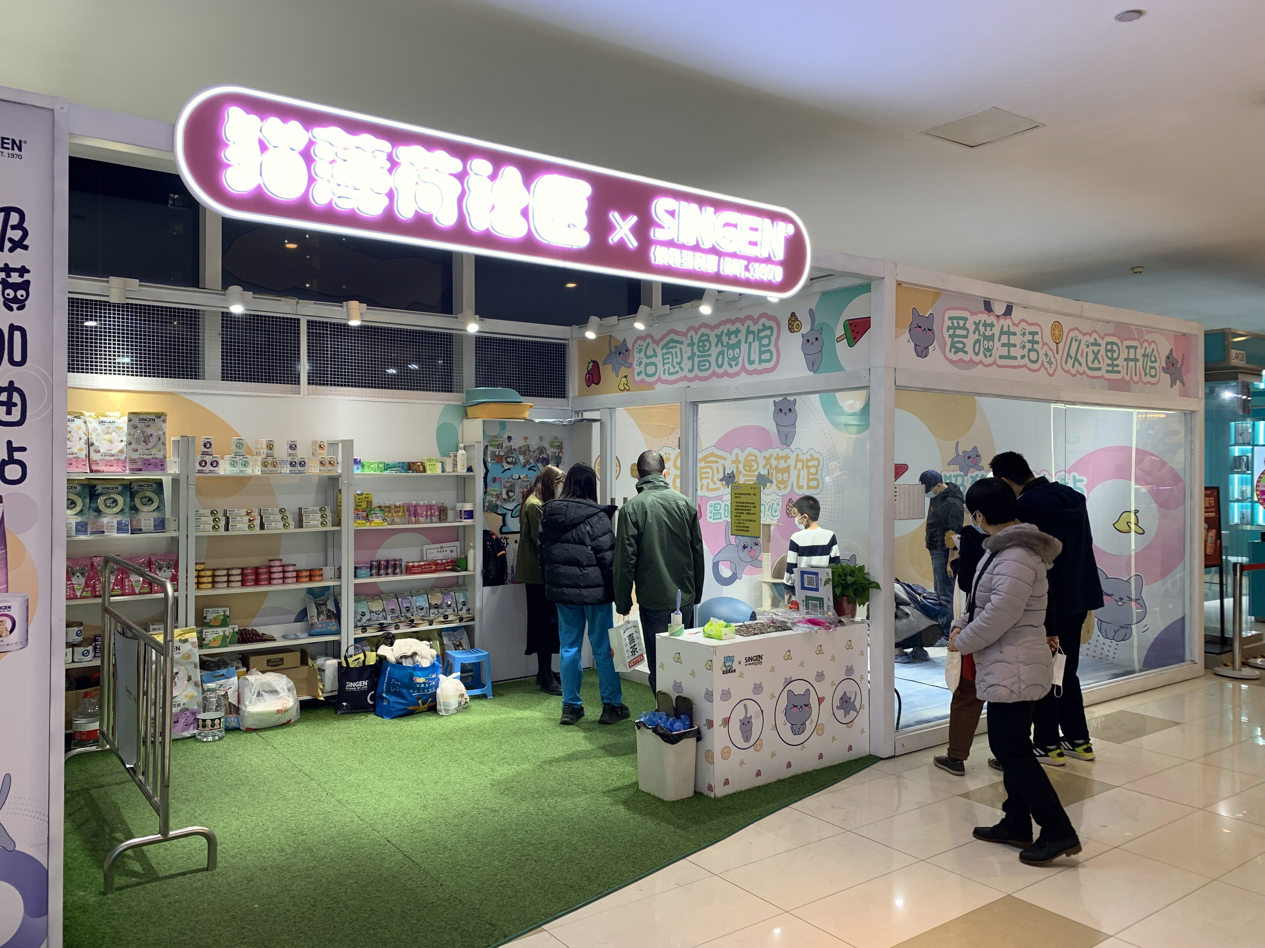 猫薄荷社区 撸猫 养猫 萌宠 宠物