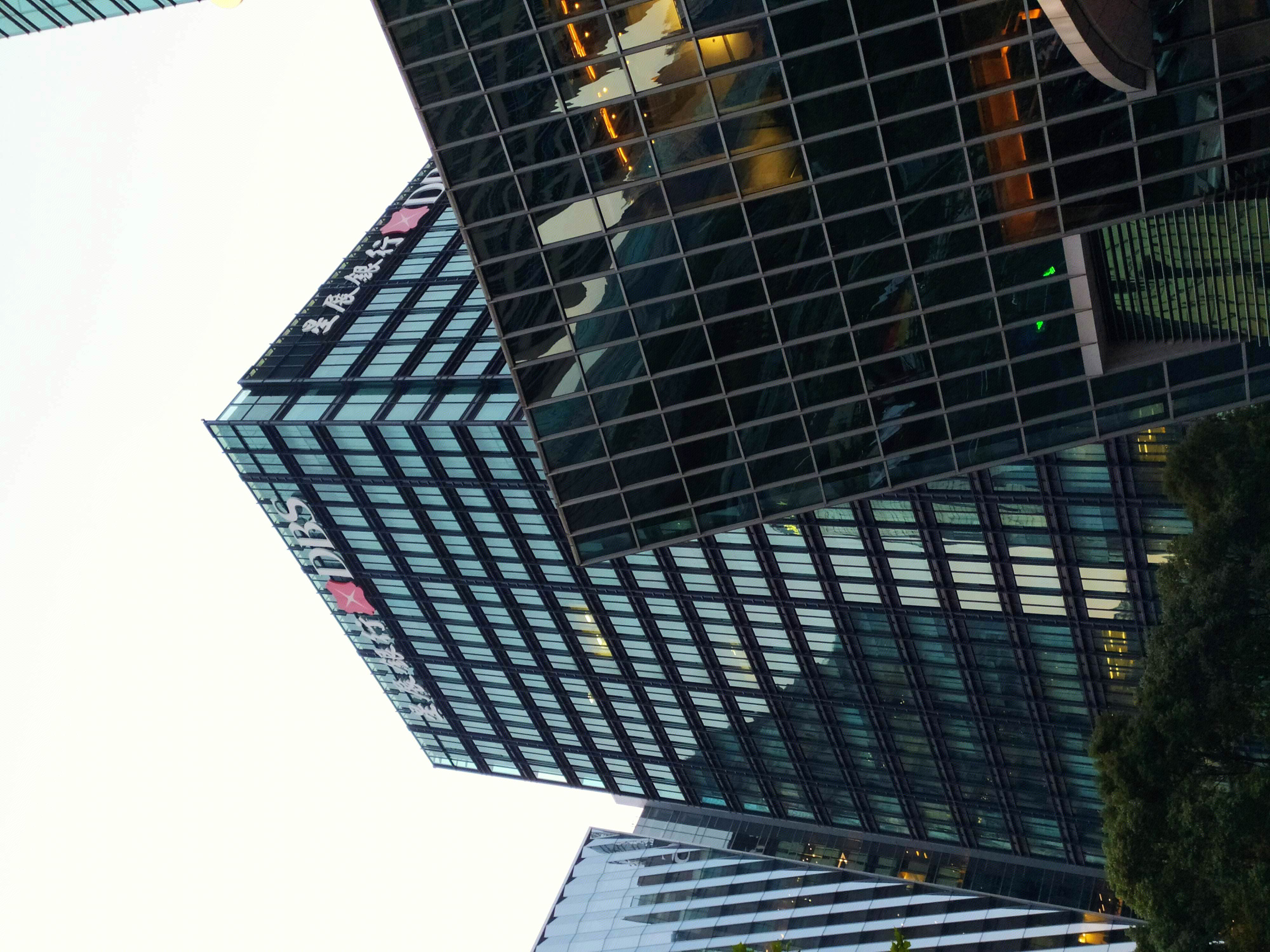 星展银行 dbs 金融机构 写字楼 陆家嘴 浦东 金融城 上海