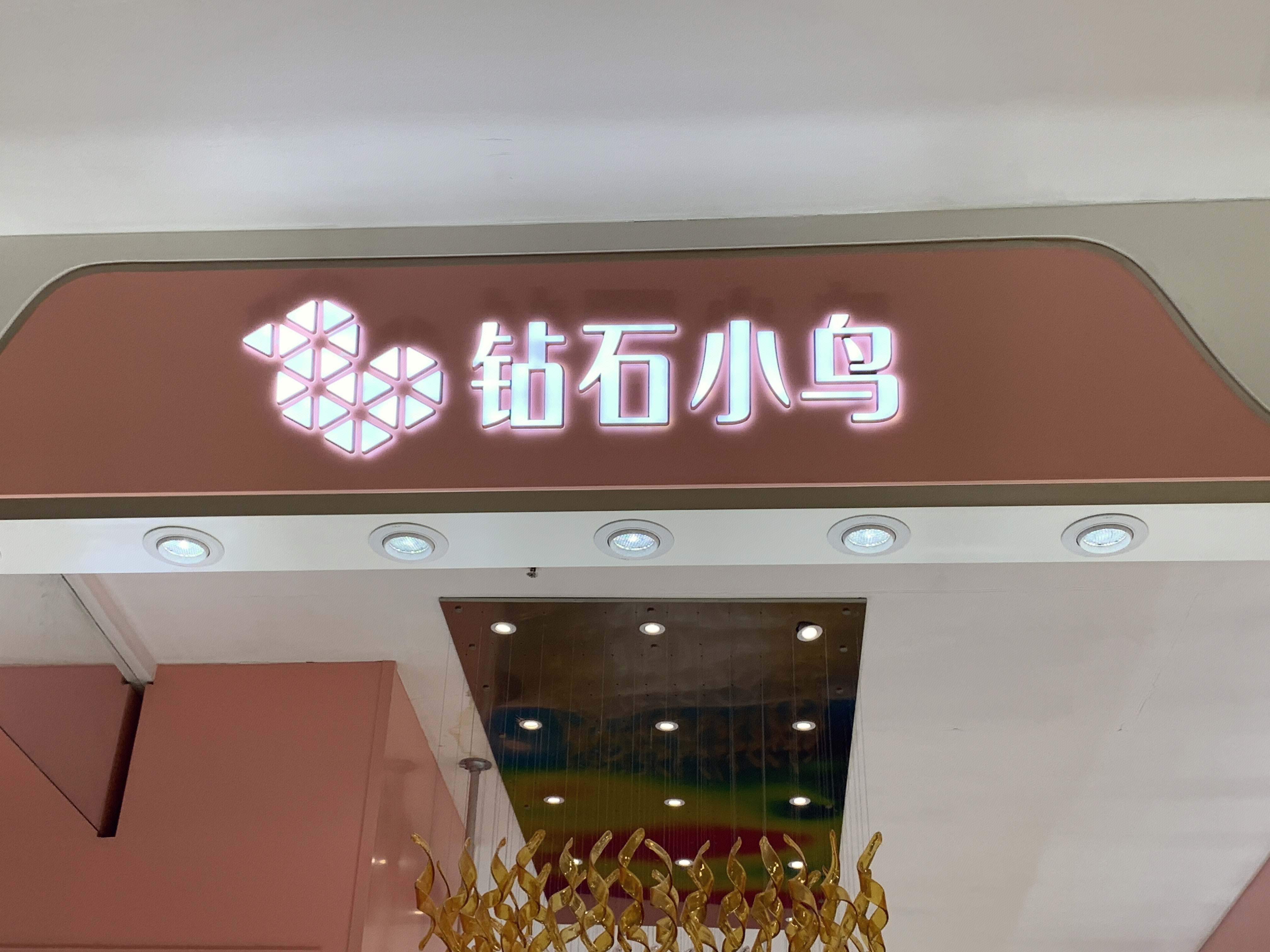 钻石小鸟  钻戒  珠宝 奢饰品