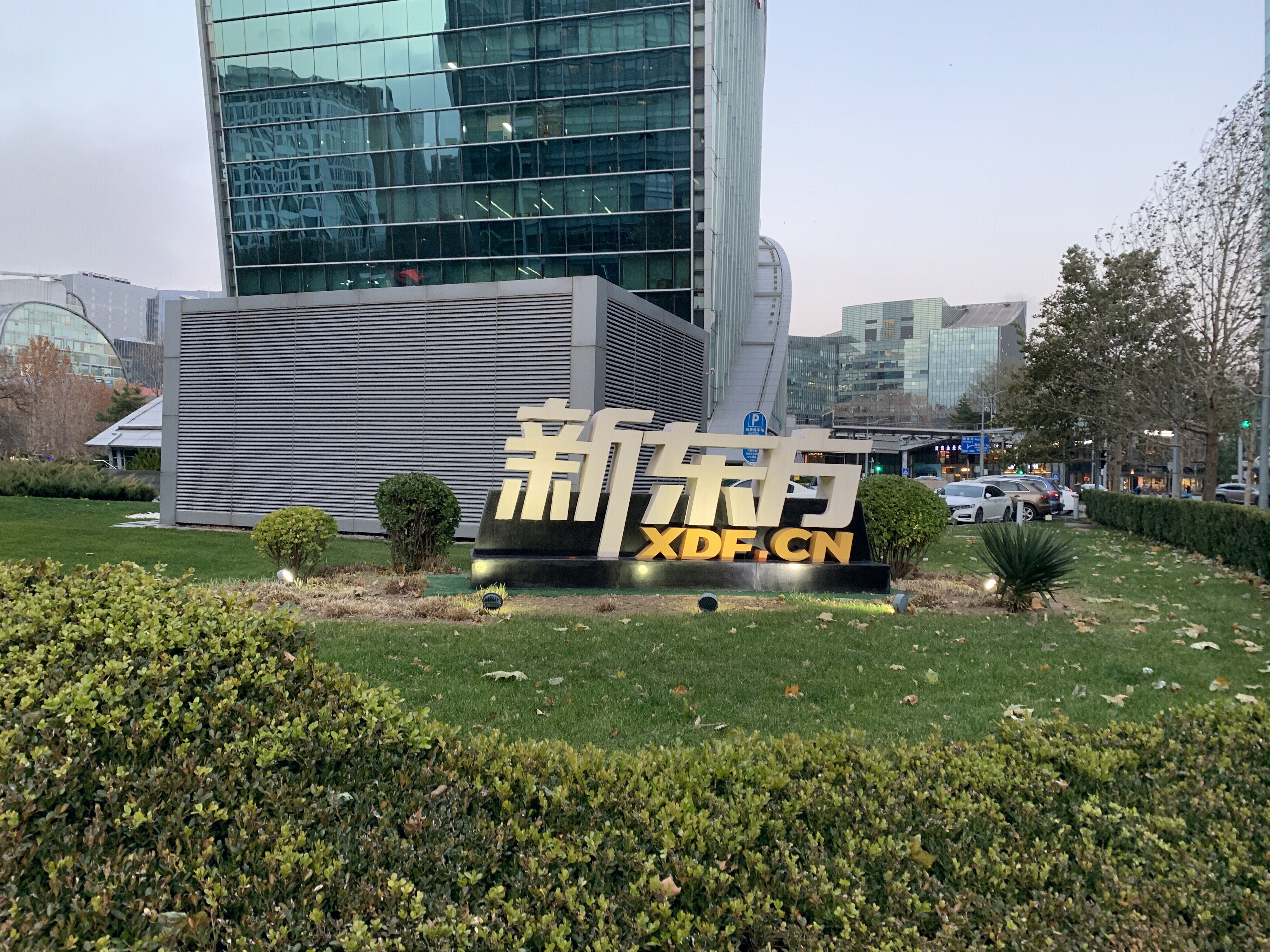 新东方 留学教育 教培 在线教育