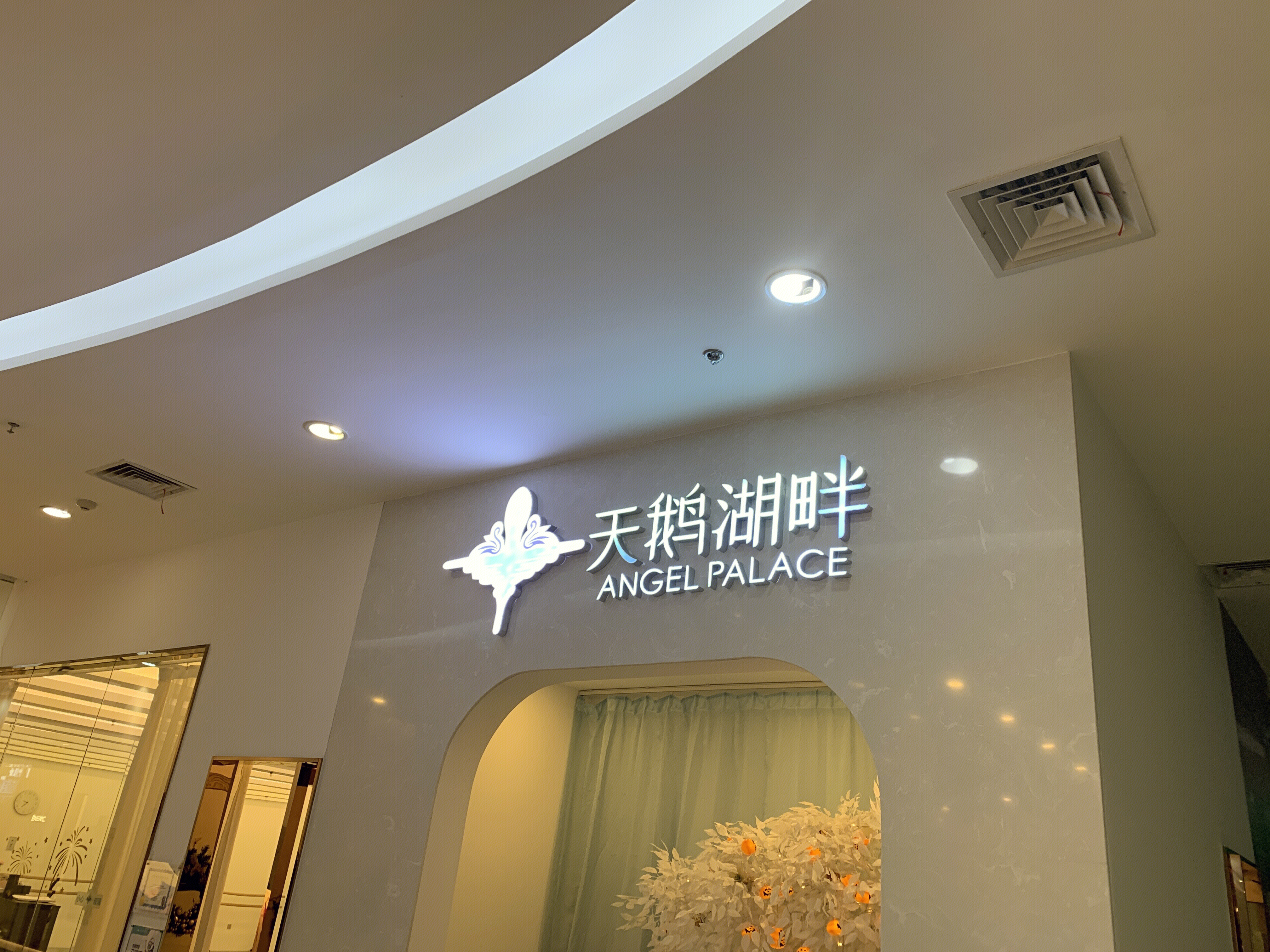 天鹅湖畔 芭蕾舞学校 舞蹈培训 教育