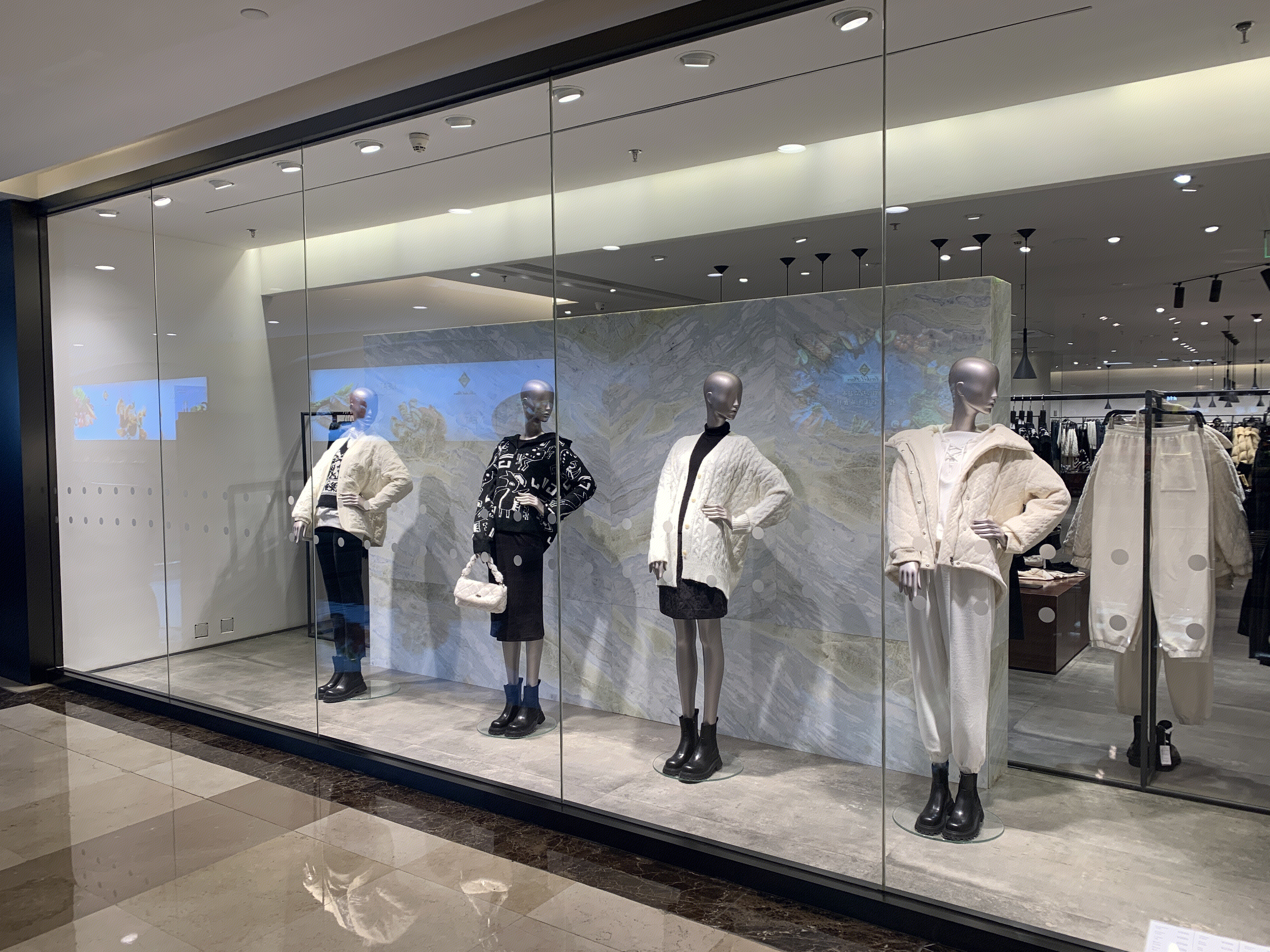 女装  服装  服饰